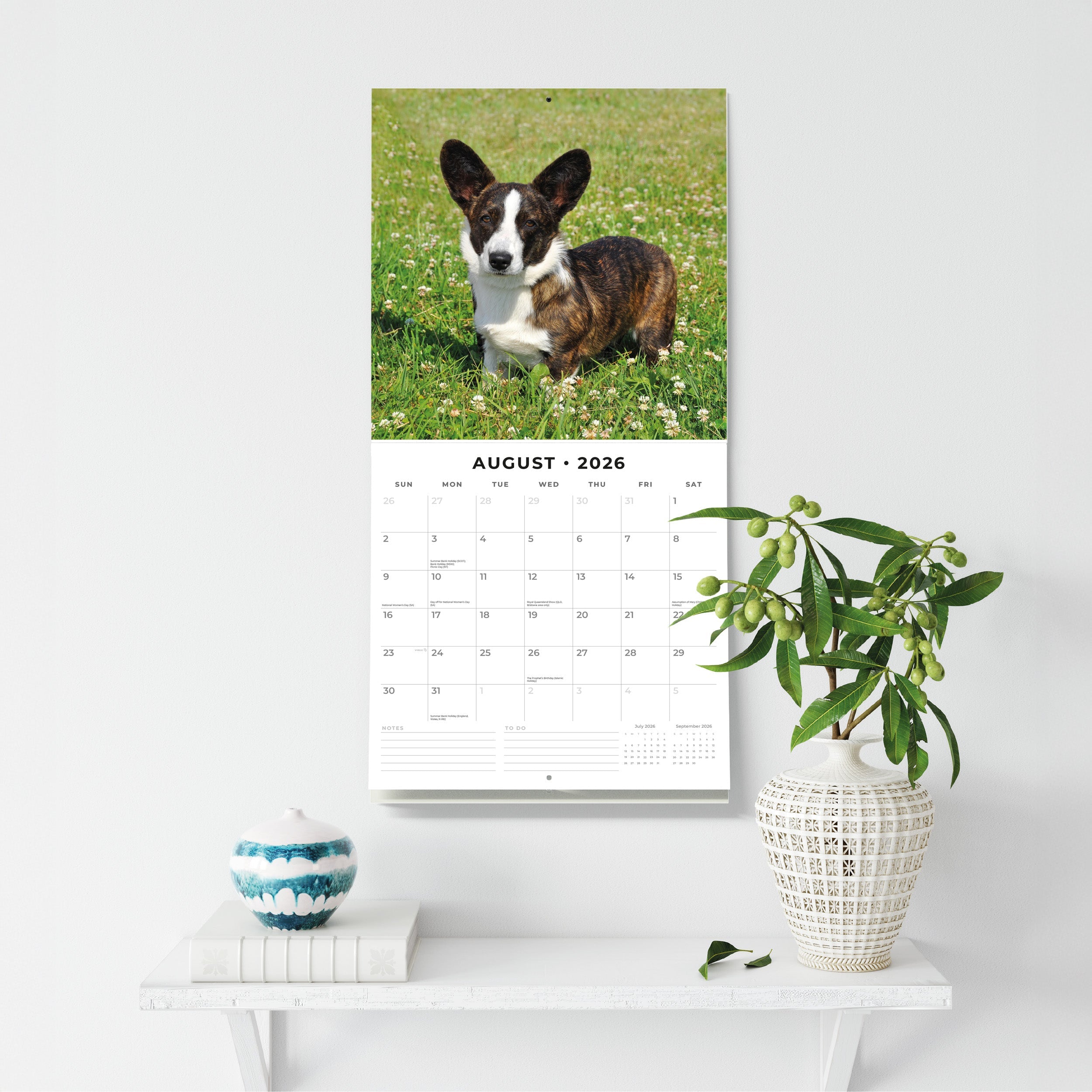 2026 Welsh Corgis - Square Wall Calendar