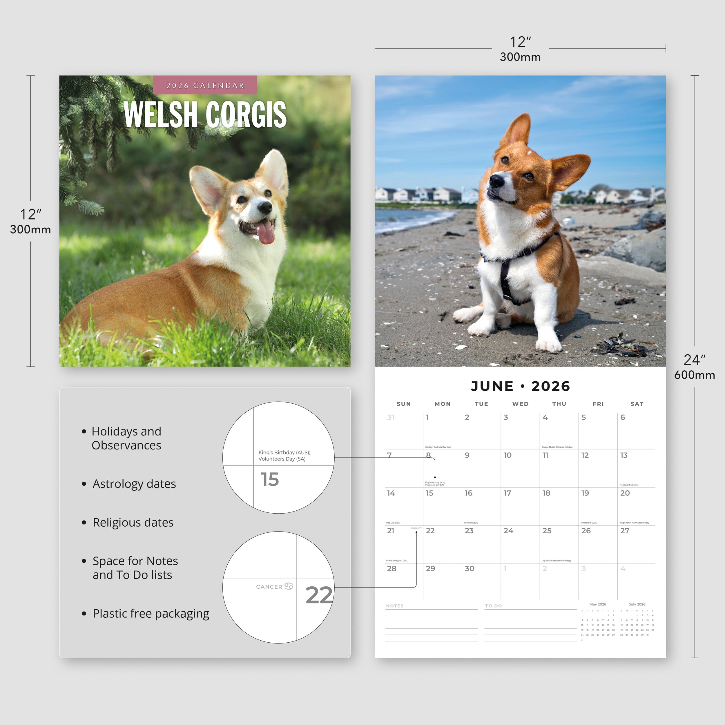 2026 Welsh Corgis - Square Wall Calendar