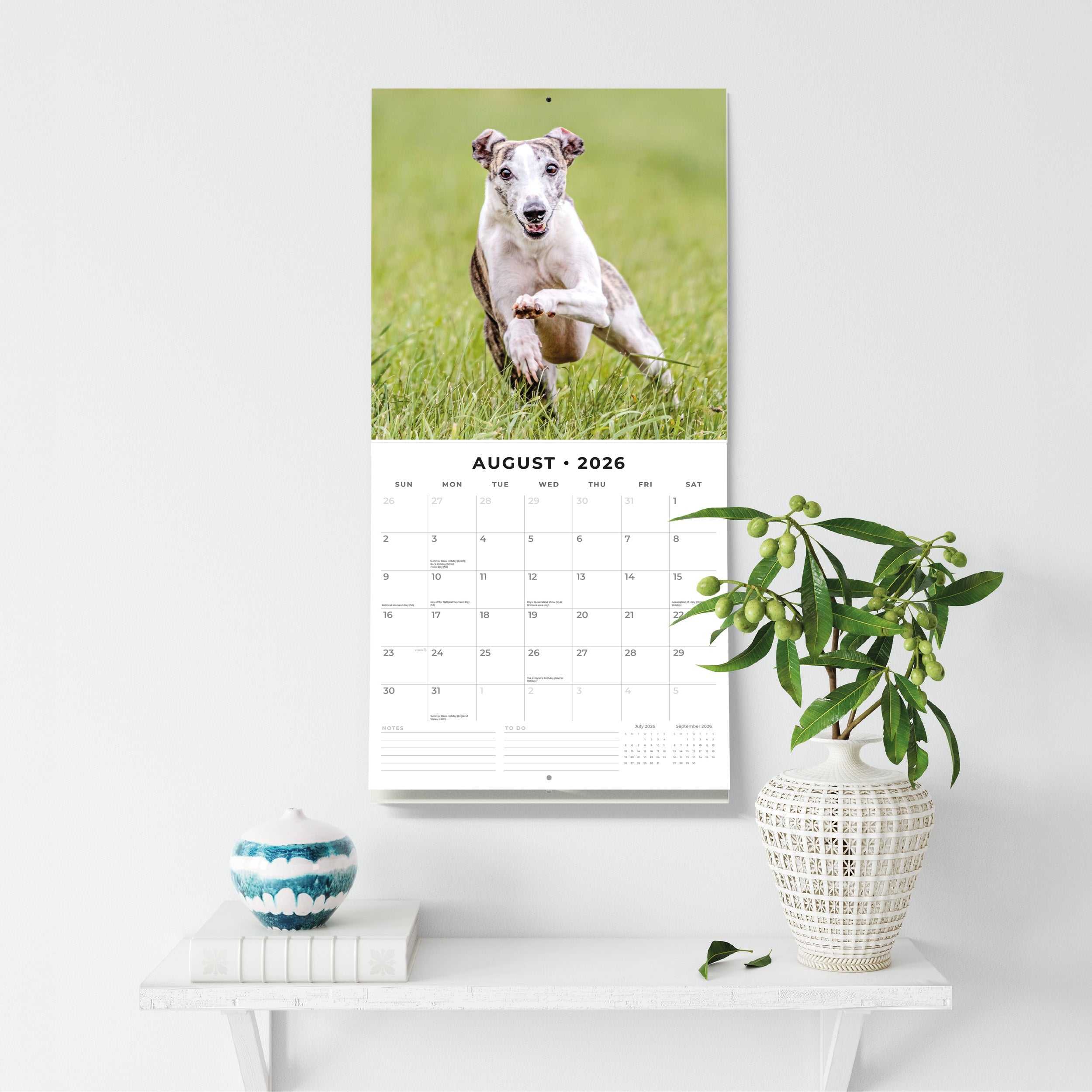 2026 Whippets - Square Wall Calendar