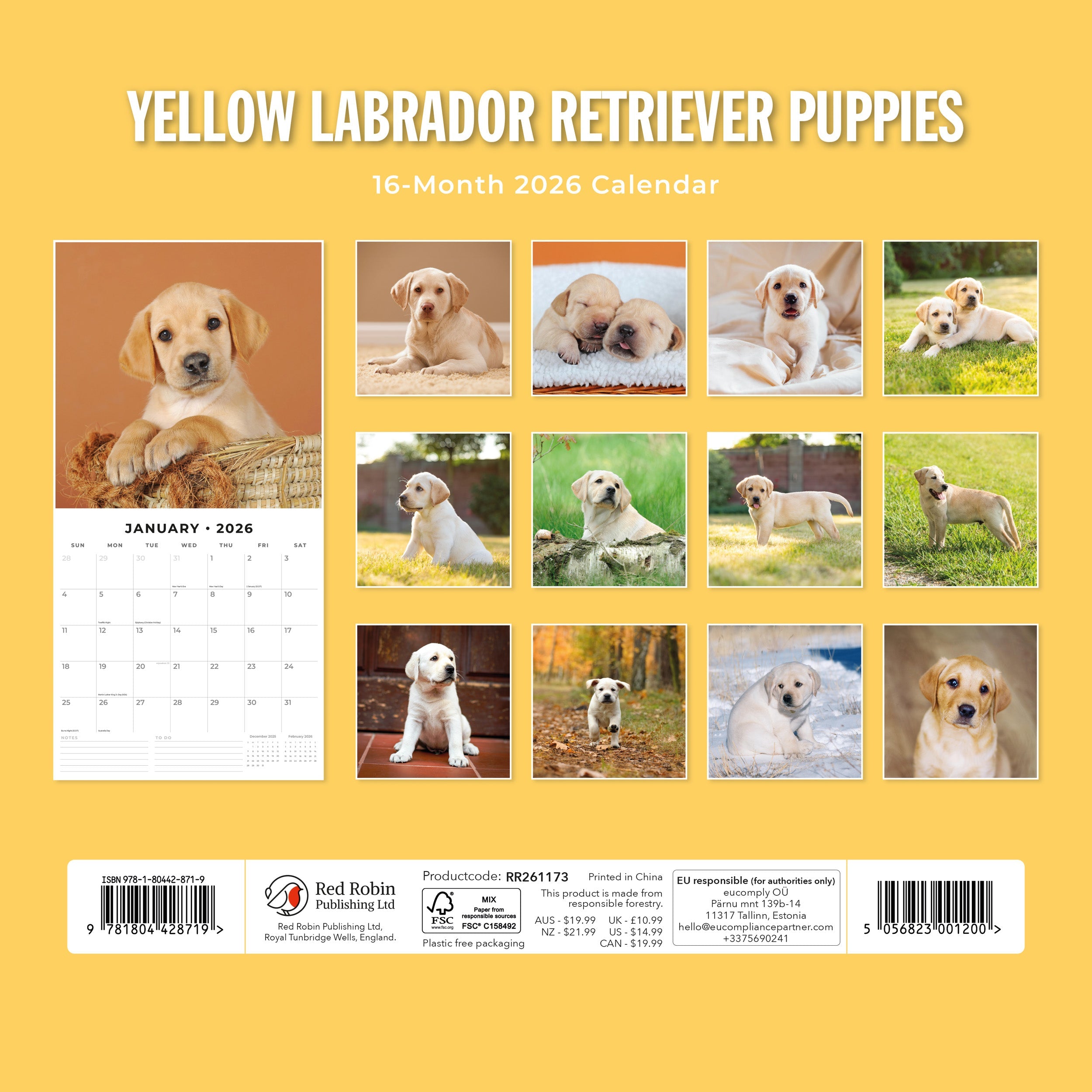 2026 Yellow Labrador Retriever Puppies - Square Wall Calendar