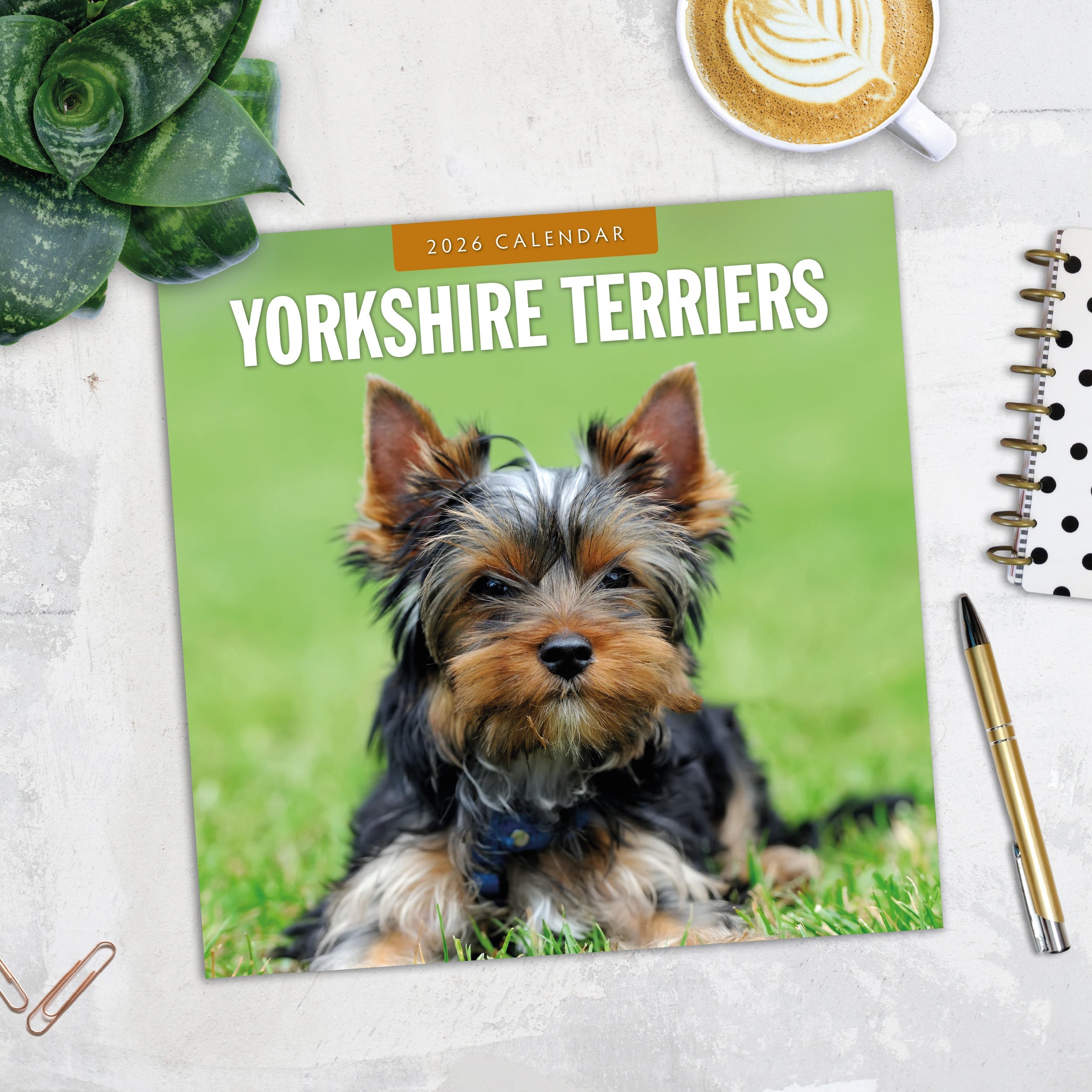 2026 Yorkshire Terriers - Square Wall Calendar
