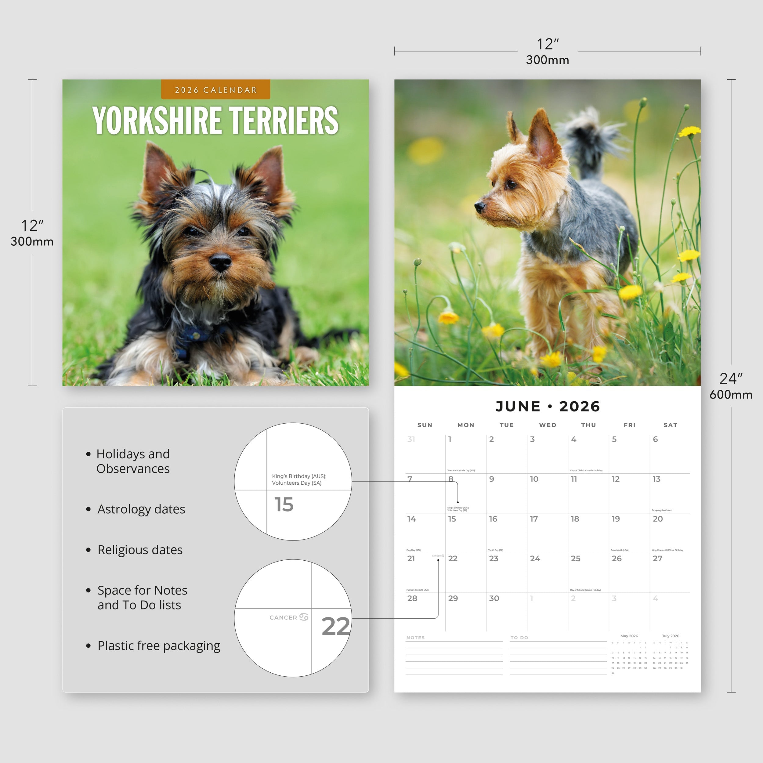 2026 Yorkshire Terriers - Square Wall Calendar