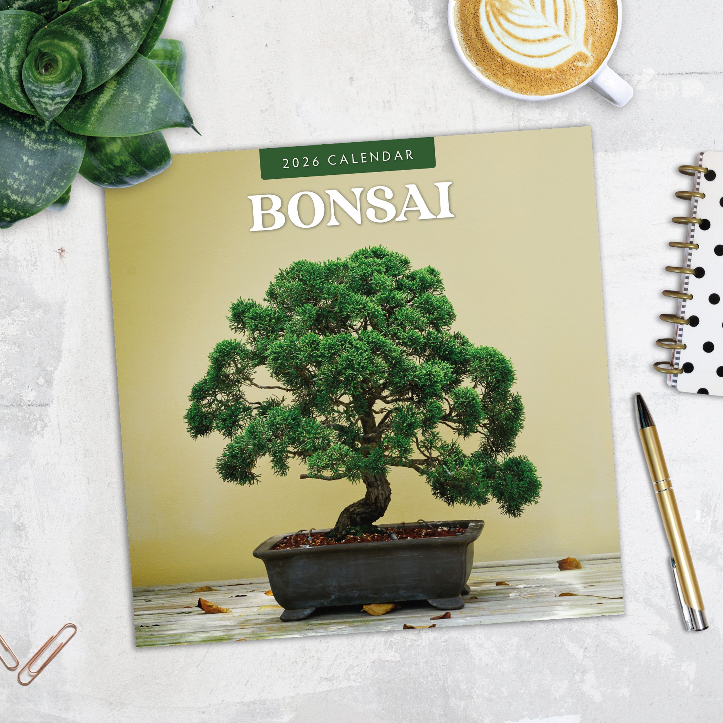 2026 Bonsai - Square Wall Calendar