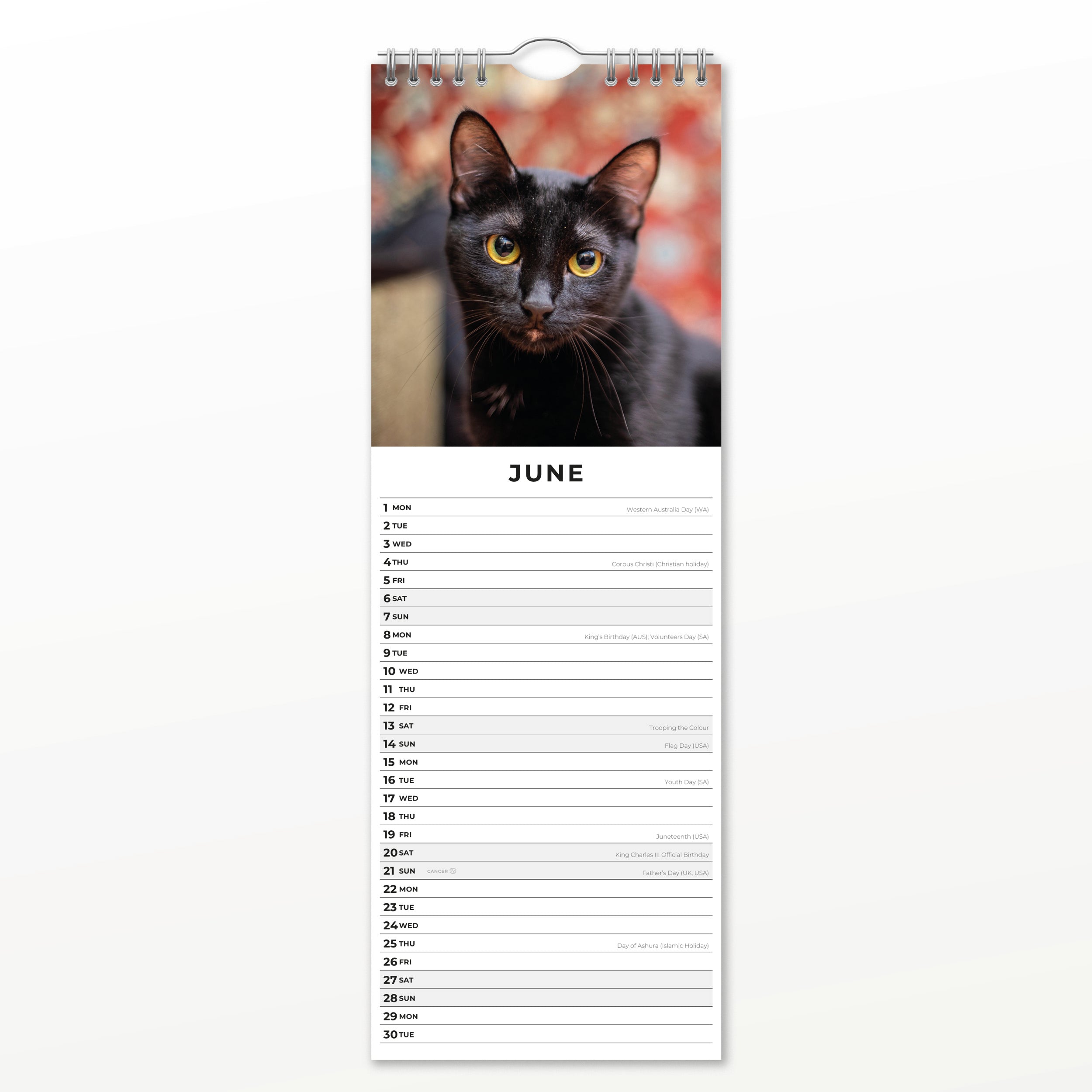 2026 Black Cats - Slim Wall Calendar