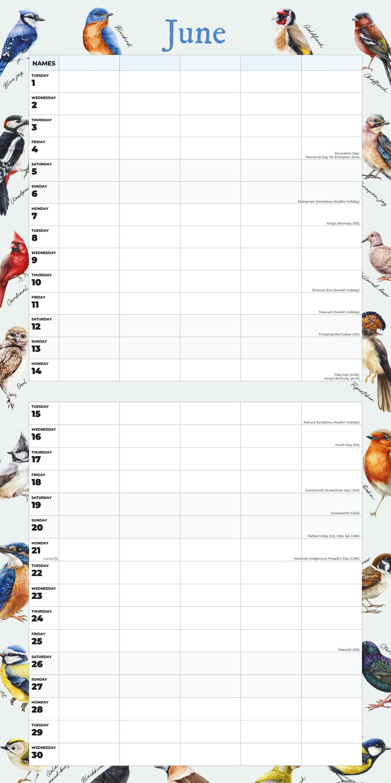 2027 Garden Birds Family Organiser - Square Wall Calendar