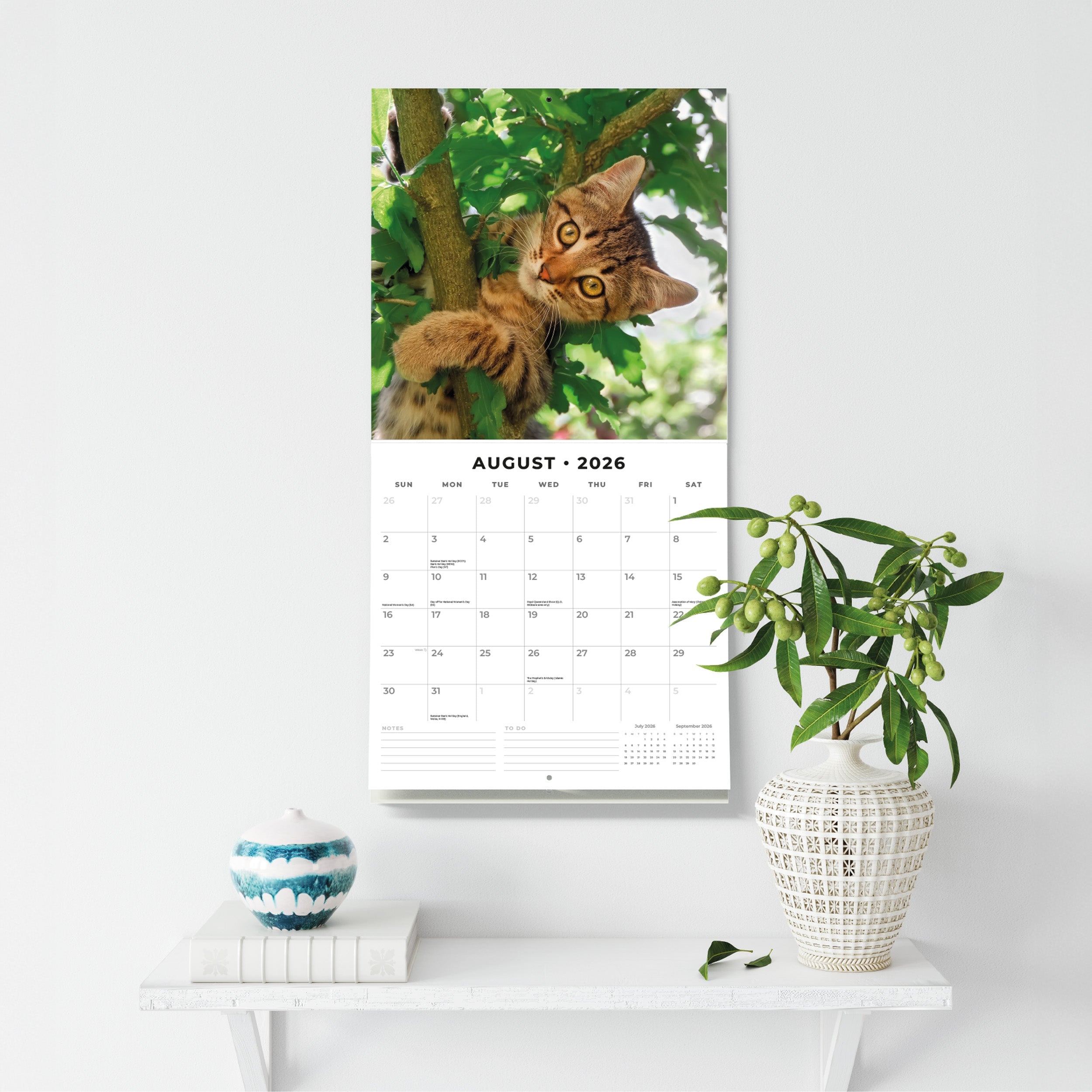 2026 Adorable Cats - Square Wall Calendar
