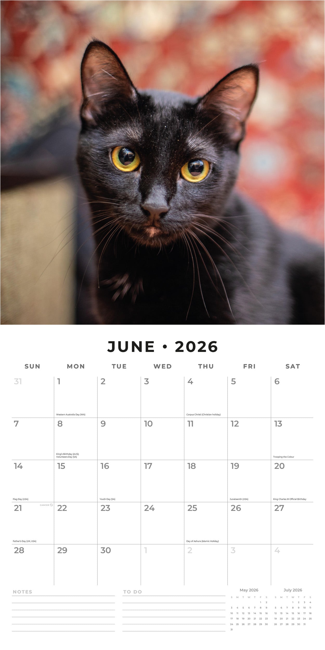 2026 Black Cats - Square Wall Calendar