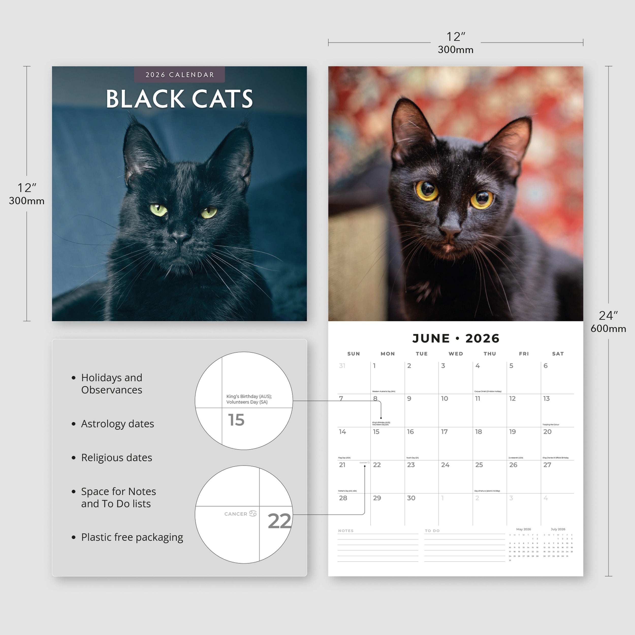 2026 Black Cats - Square Wall Calendar