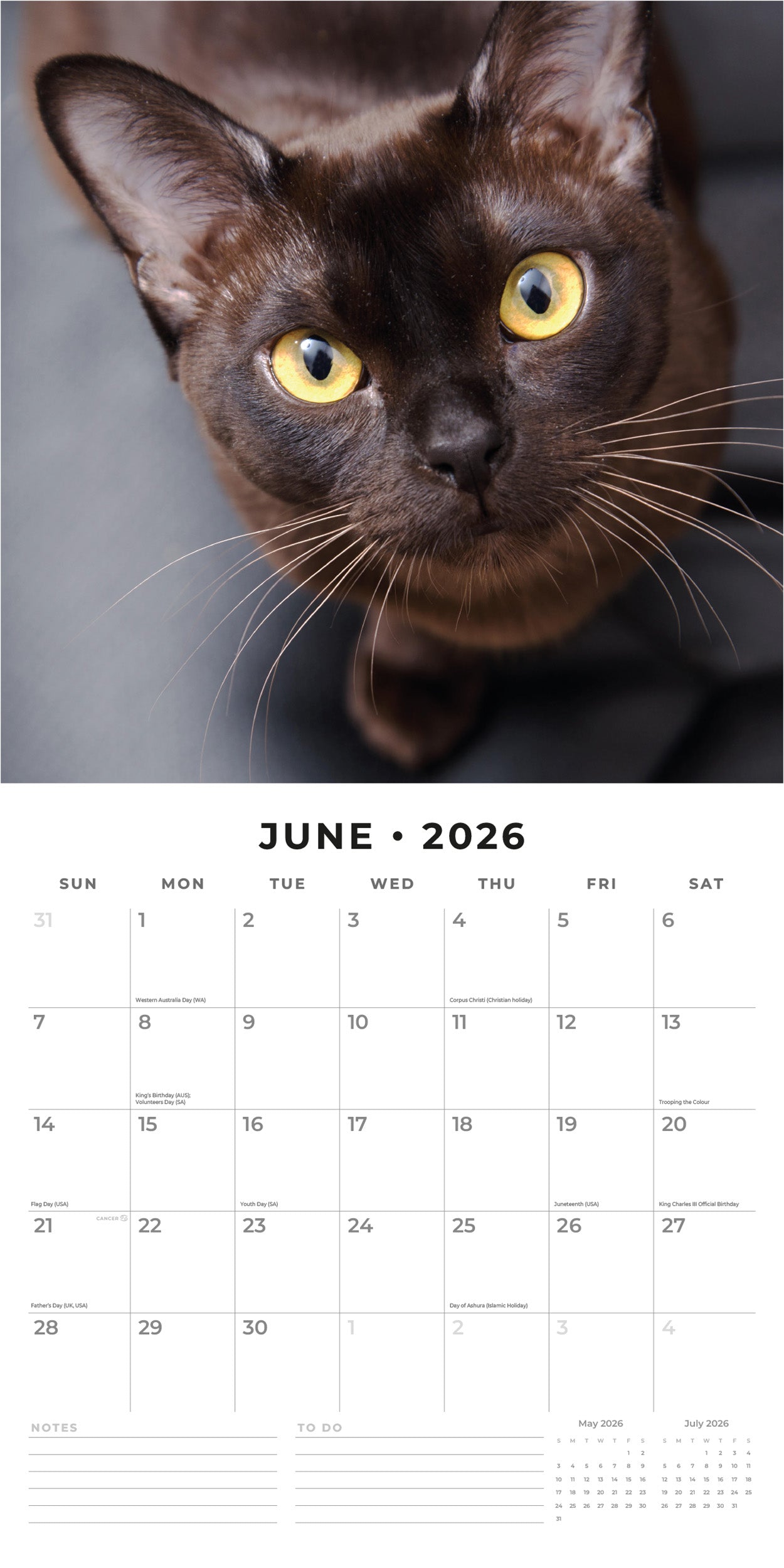 2026 Burmese Cats - Square Wall Calendar