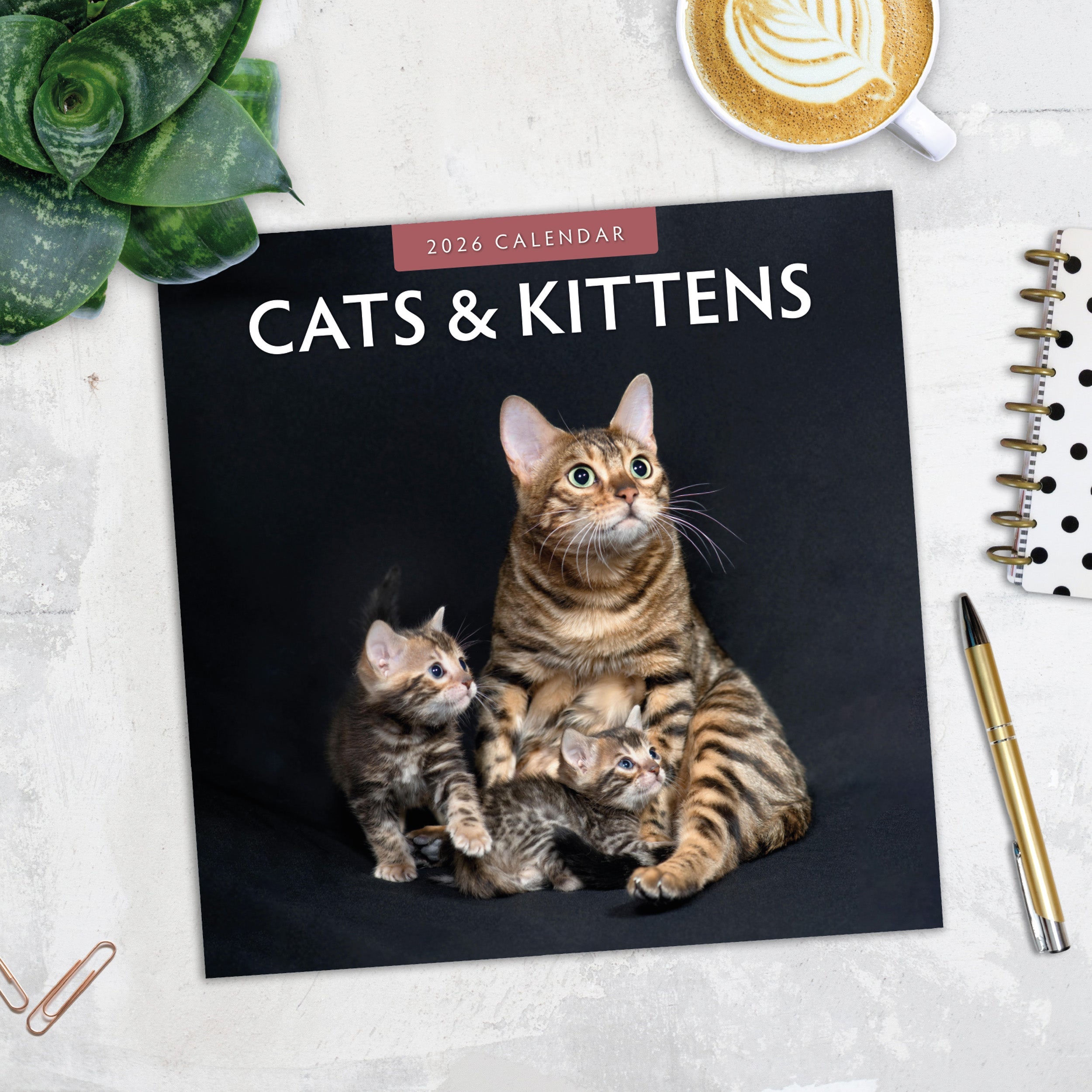 2026 Cats & Kittens - Square Wall Calendar
