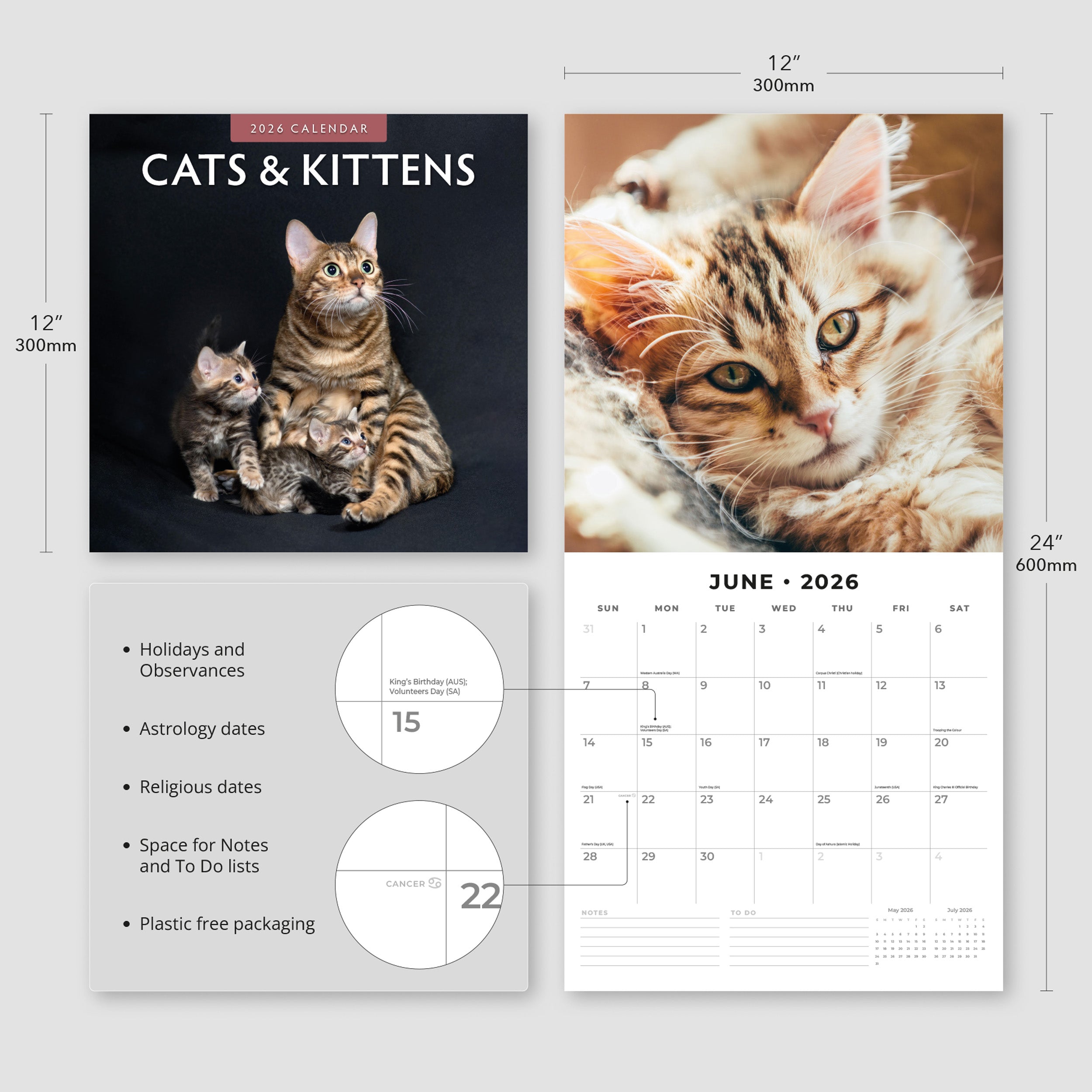 2026 Cats & Kittens - Square Wall Calendar