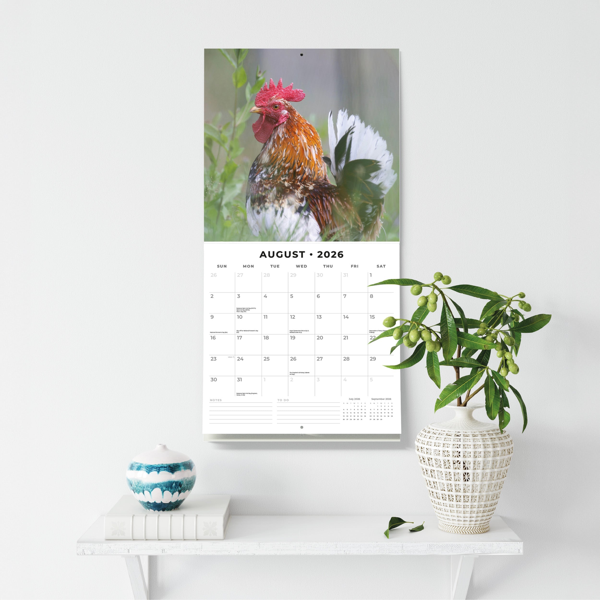 2026 Chickens - Square Wall Calendar