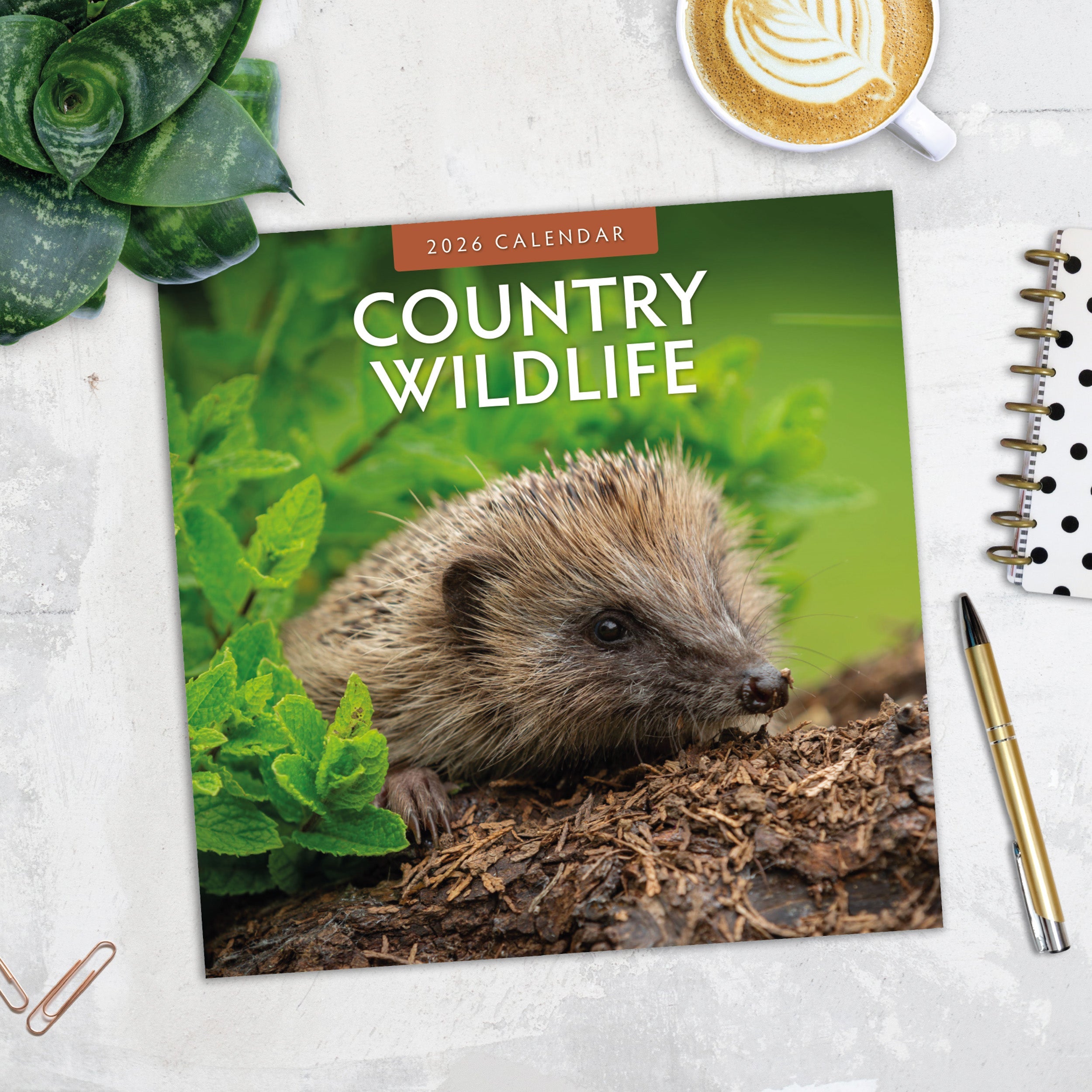 2026 Country Wildlife - Square Wall Calendar
