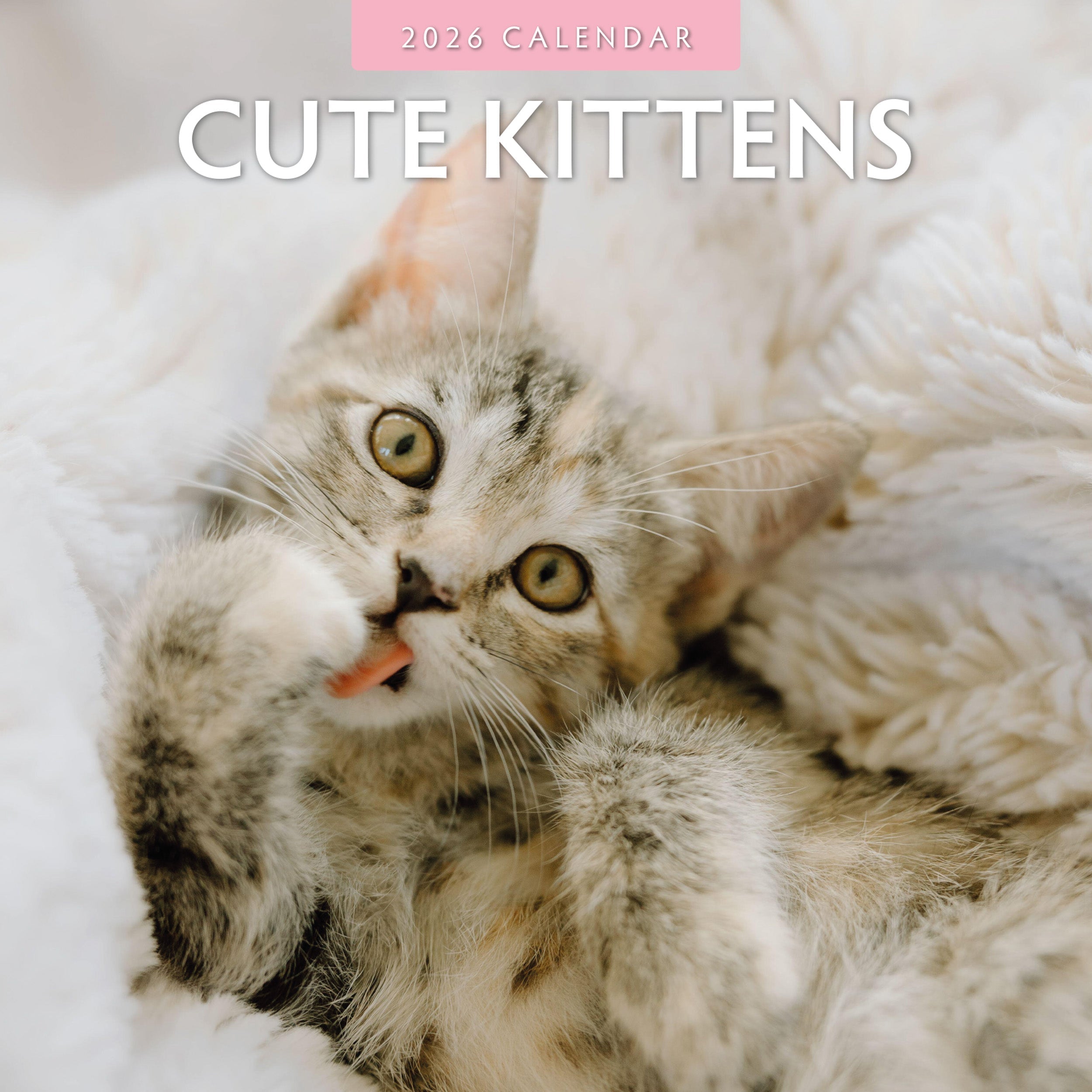 2026 Cute Kittens - Square Wall Calendar