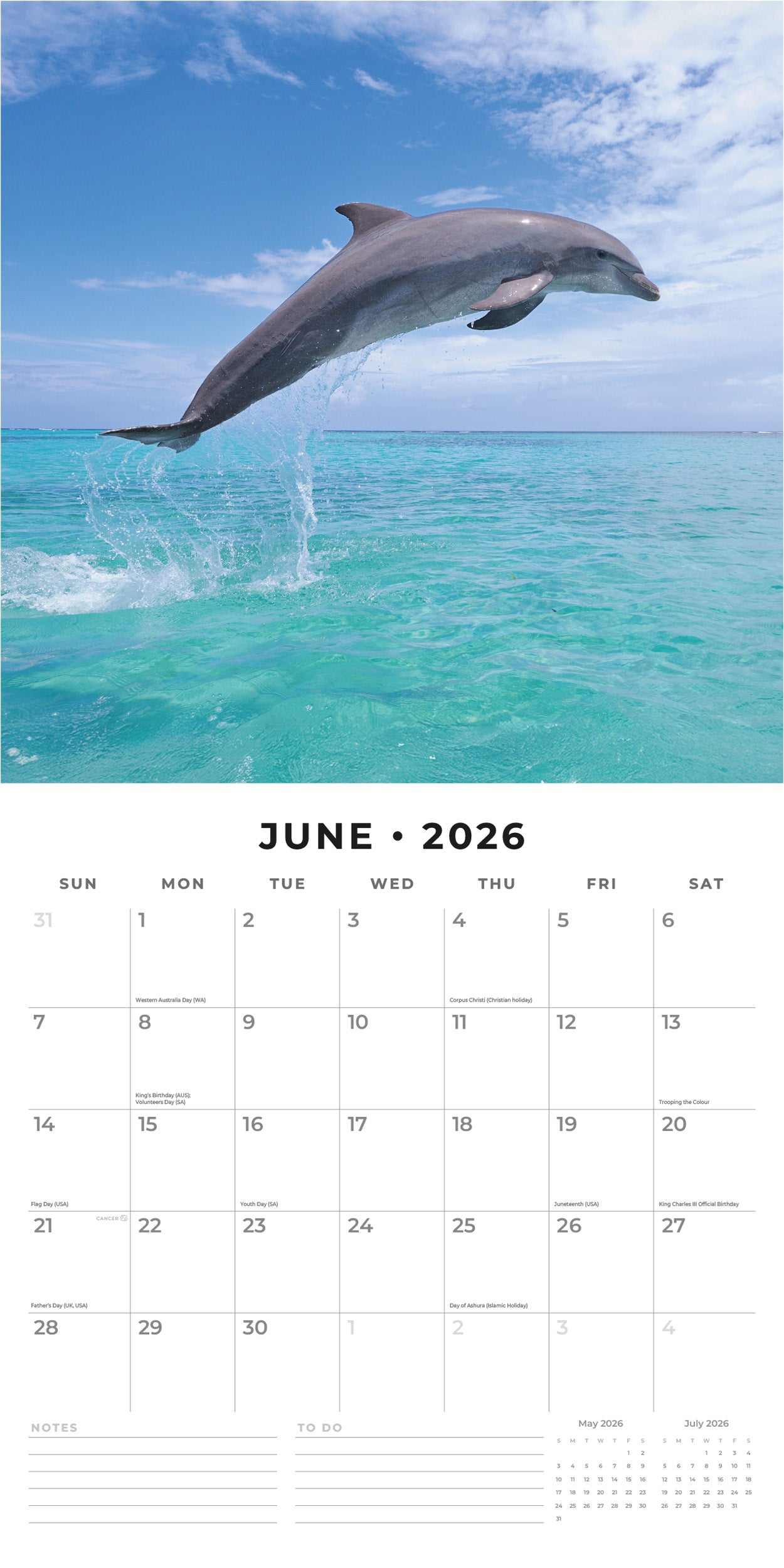 2026 Dolphins - Square Wall Calendar
