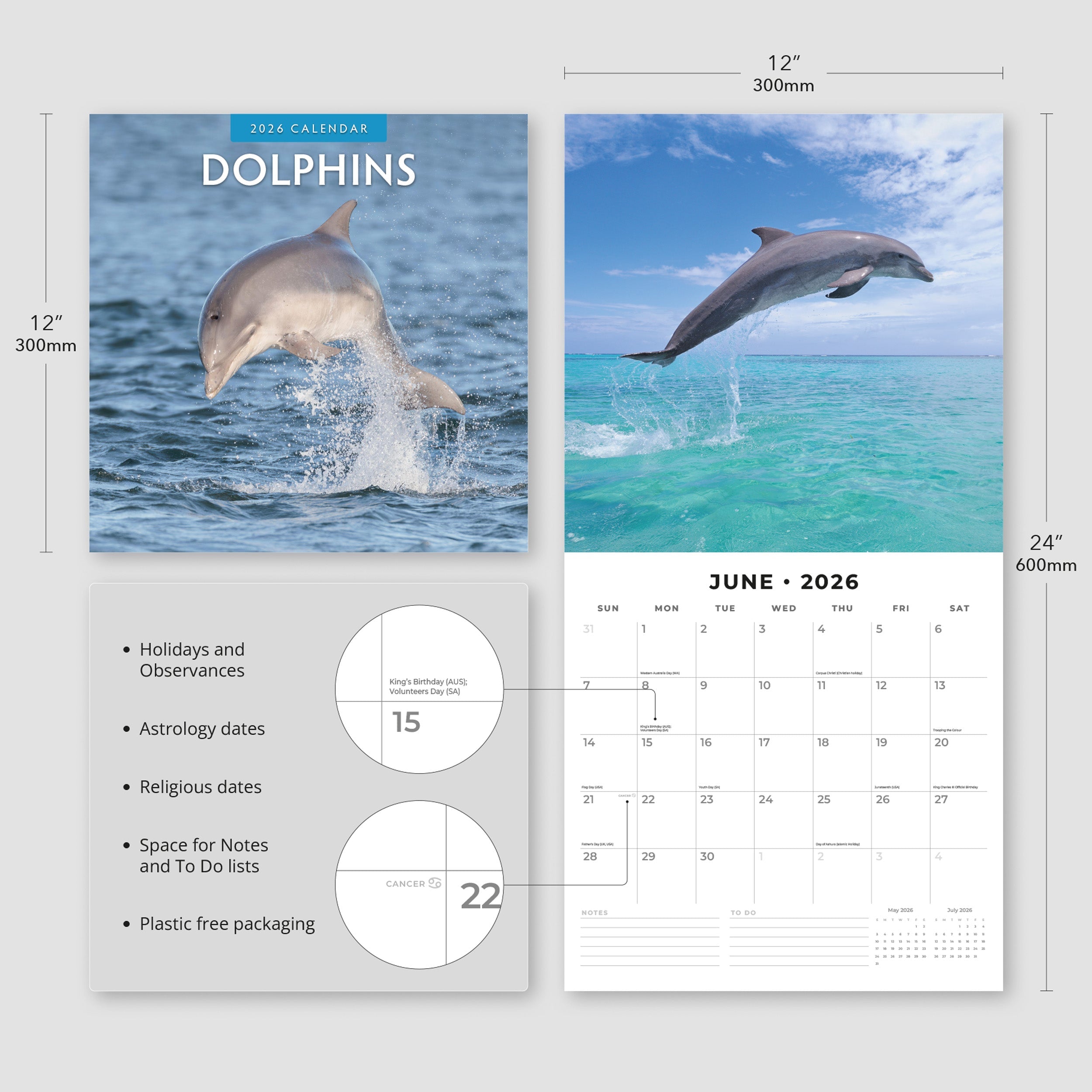 2026 Dolphins - Square Wall Calendar