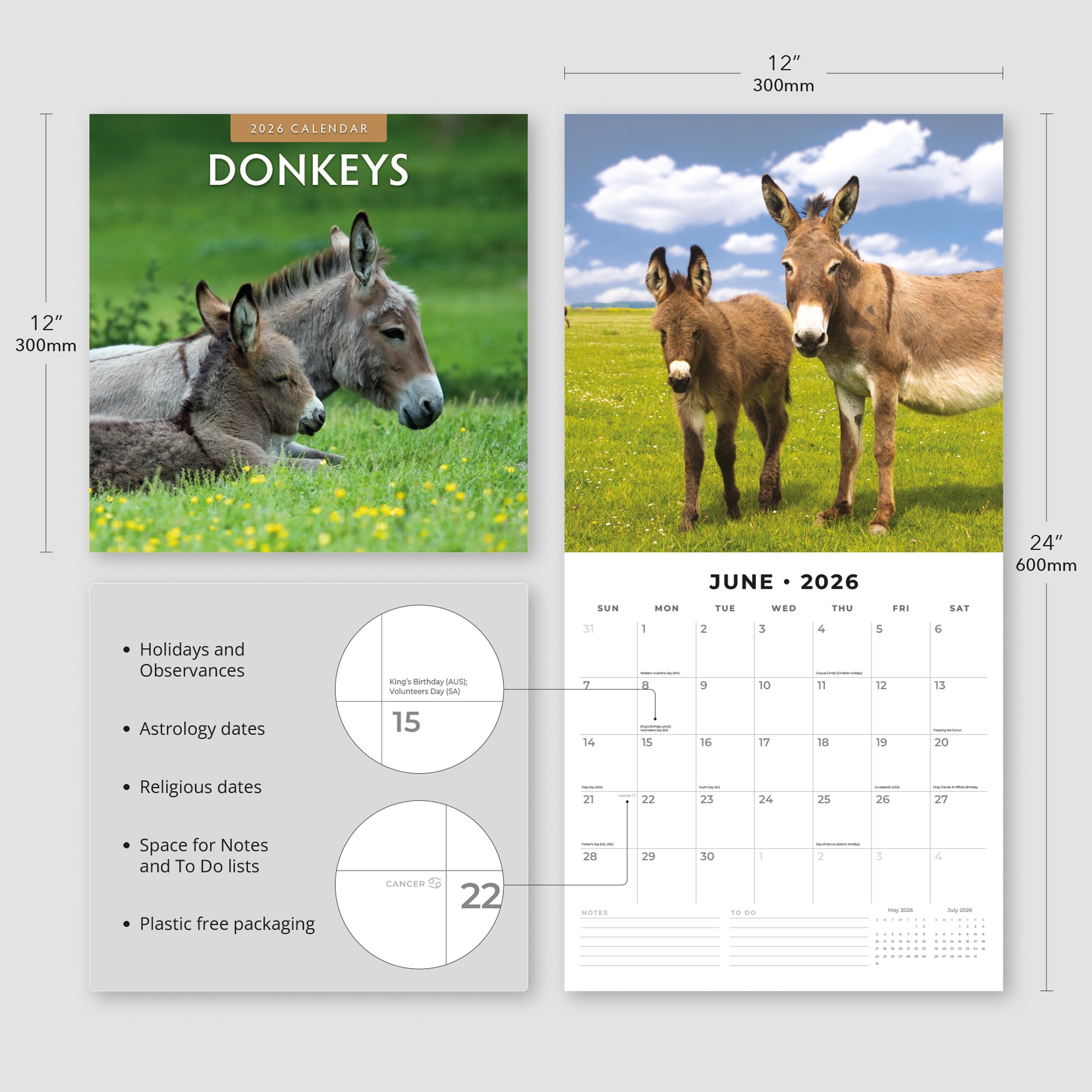 2026 Donkeys - Square Wall Calendar