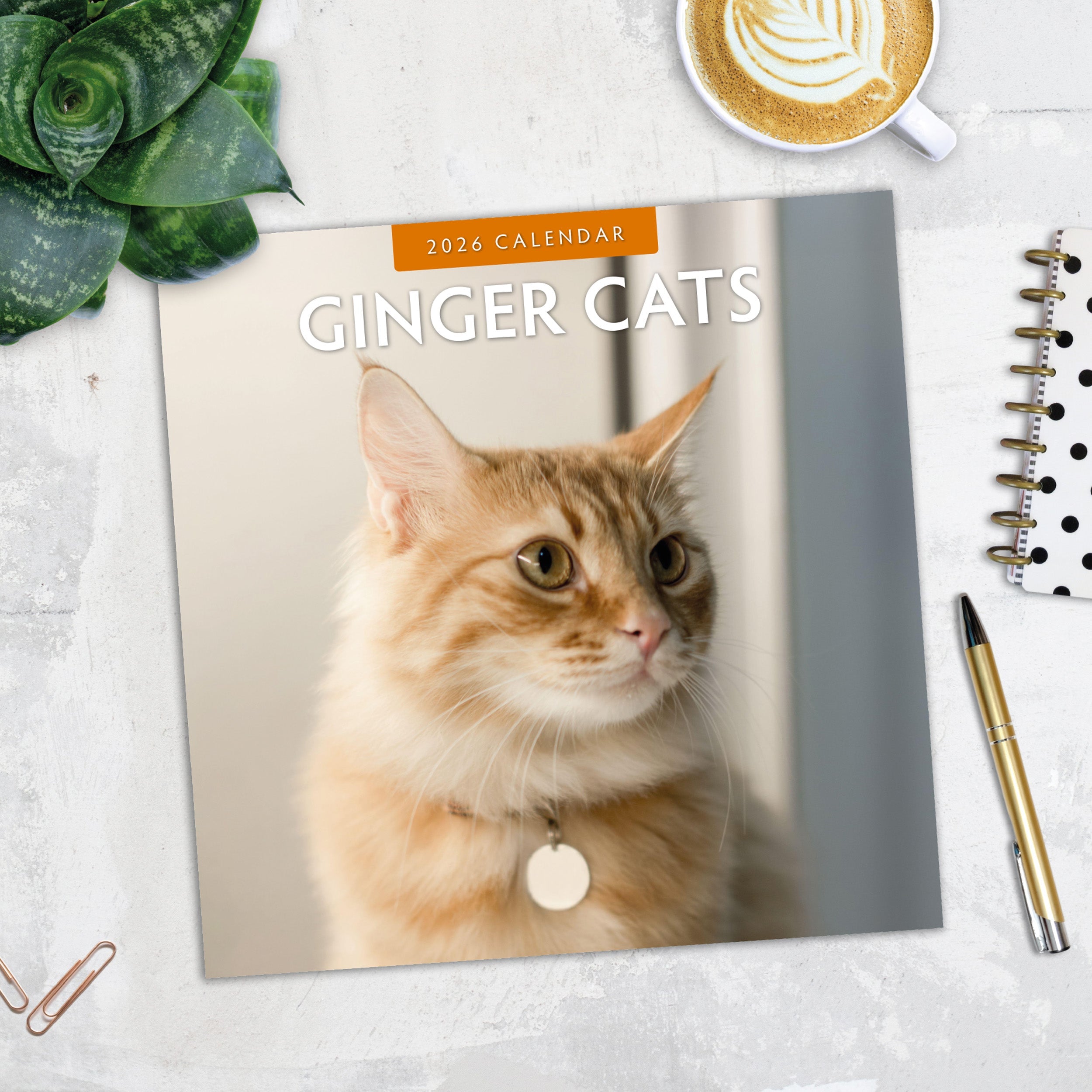 2026 Ginger Cats - Square Wall Calendar