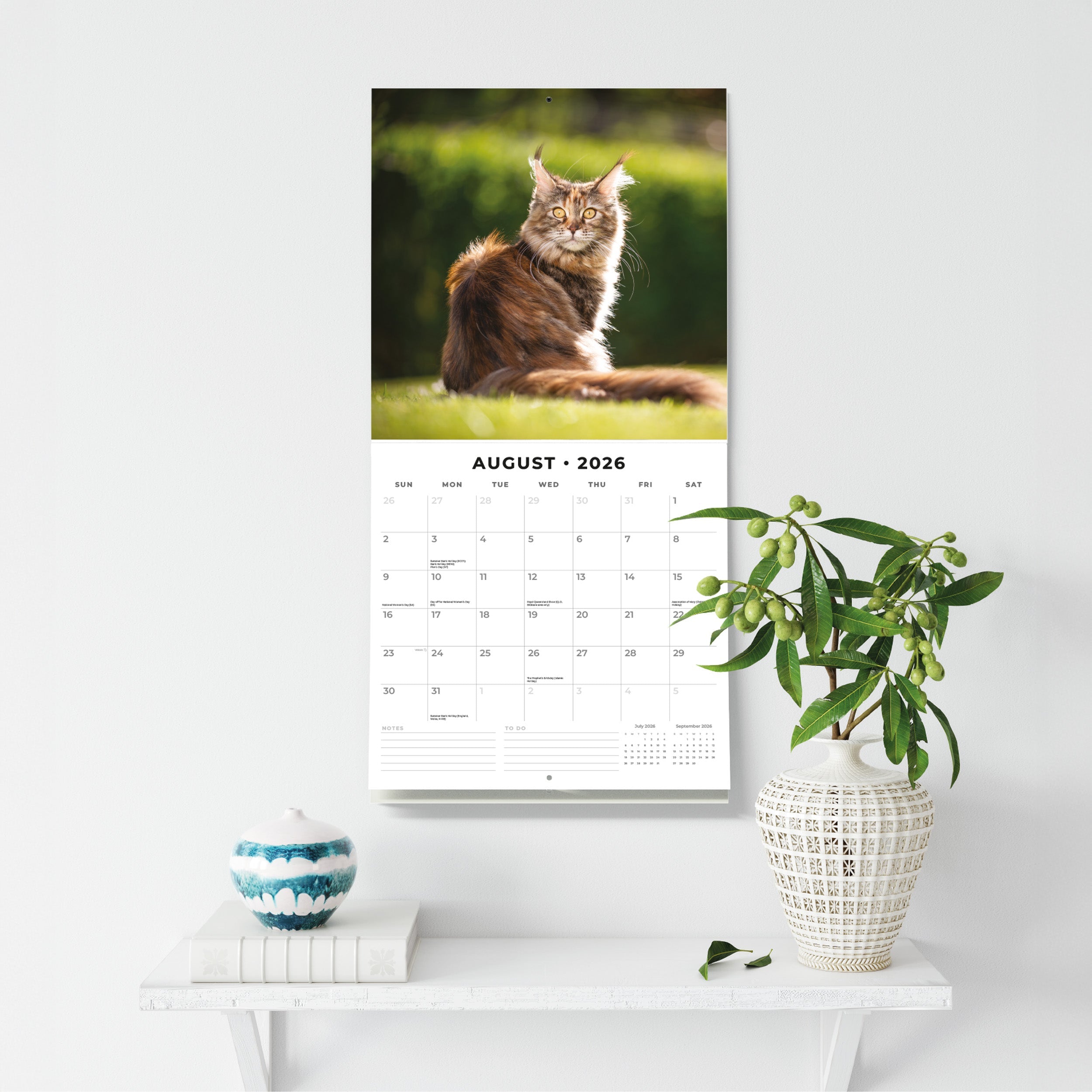 2026 Maine Coon Cats - Square Wall Calendar