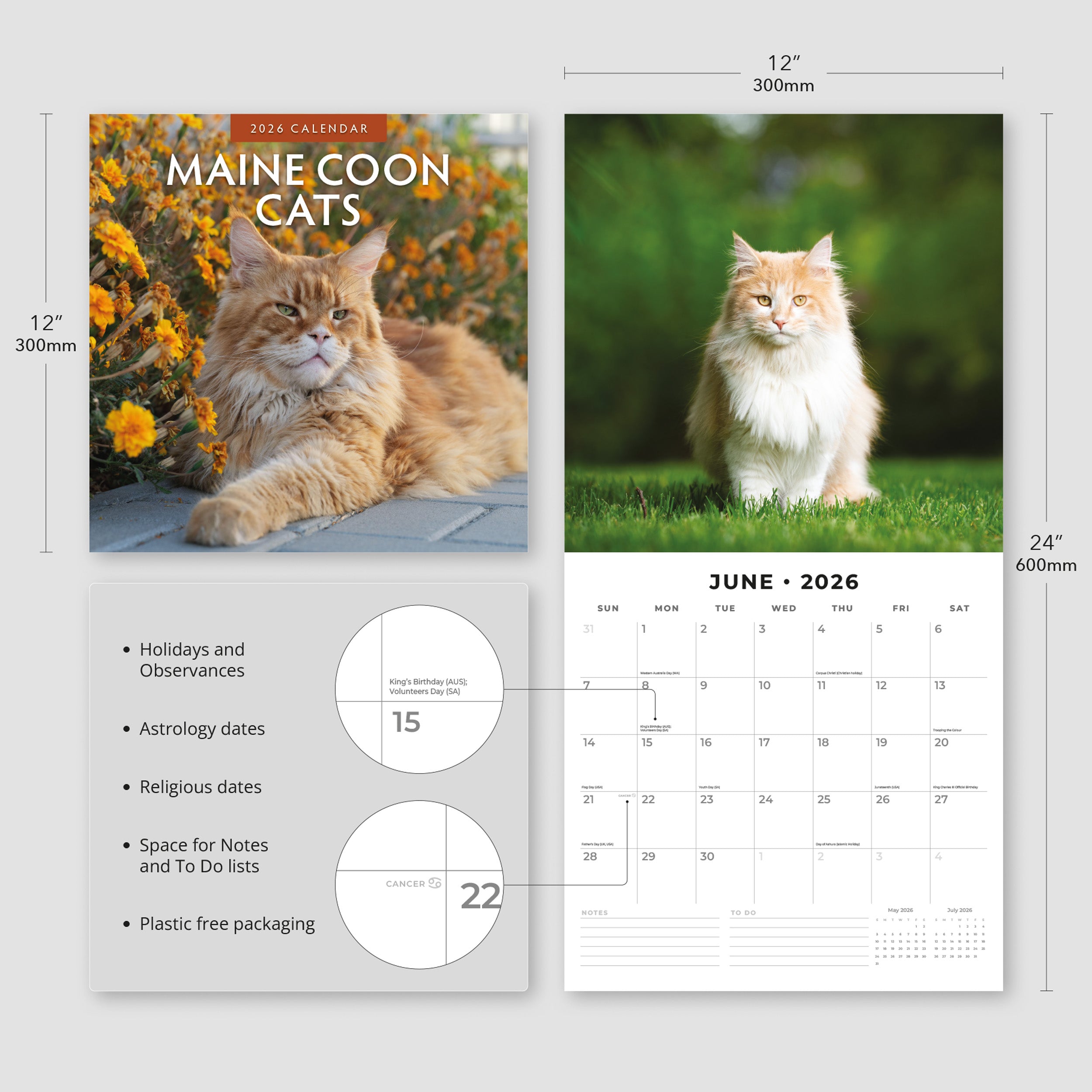 2026 Maine Coon Cats - Square Wall Calendar