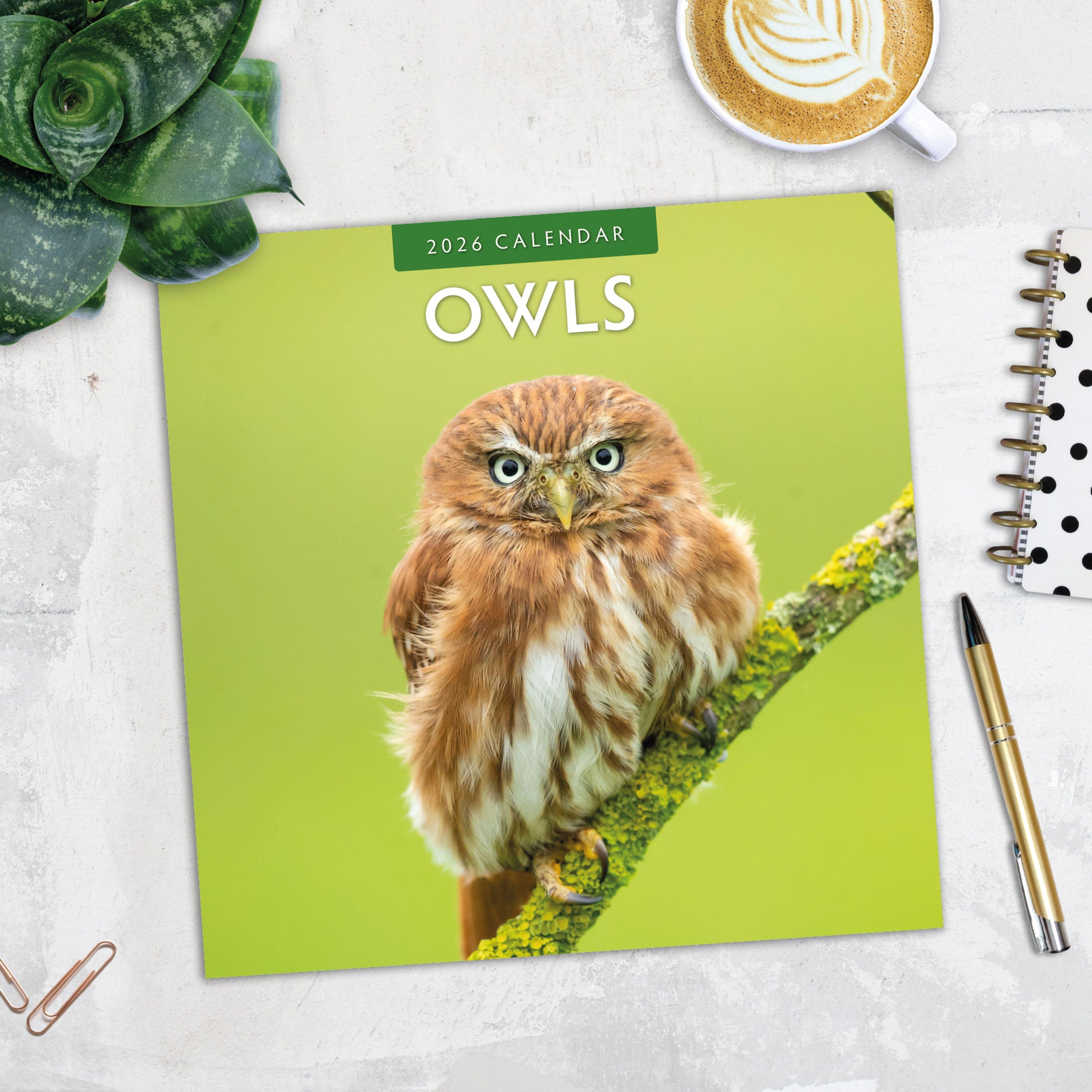 2026 Owls - Square Wall Calendar