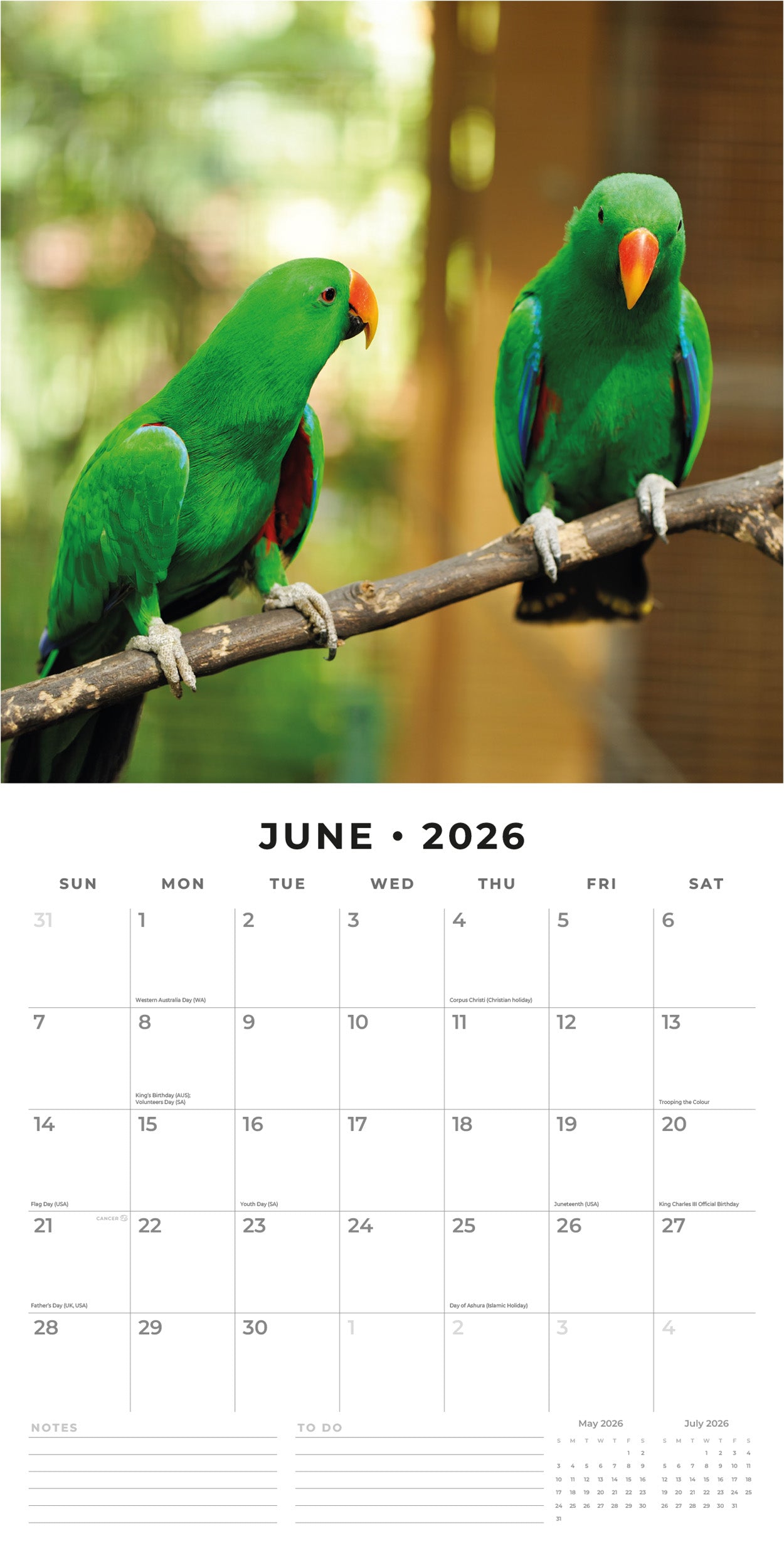 2026 Parrots - Square Wall Calendar