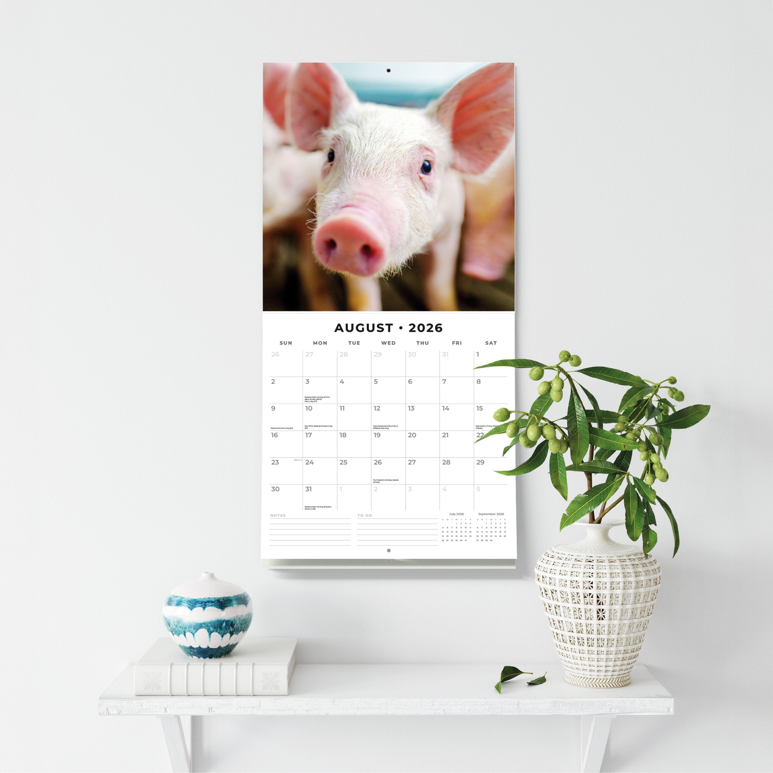 2026 Pigs & Piglets - Square Wall Calendar