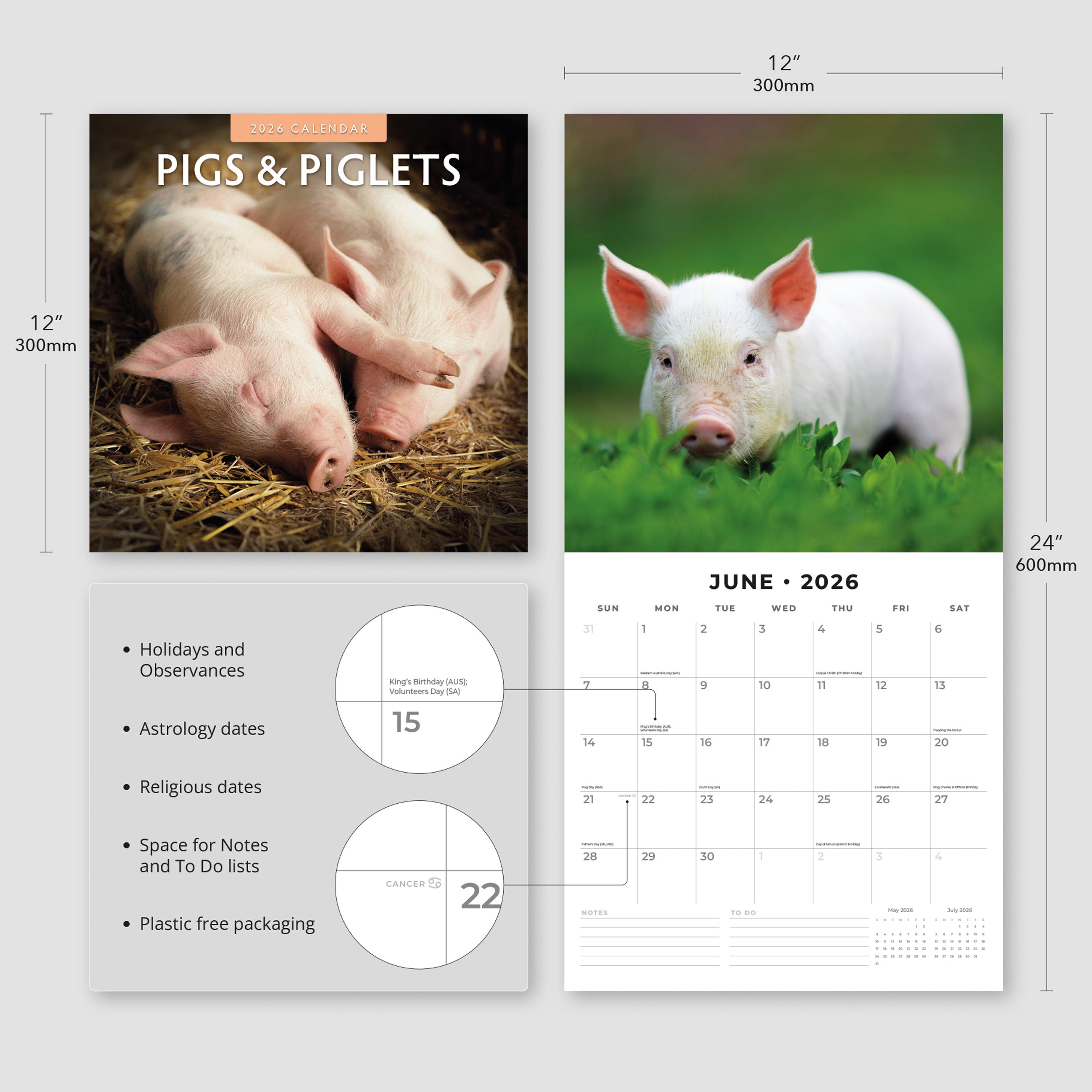 2026 Pigs & Piglets - Square Wall Calendar