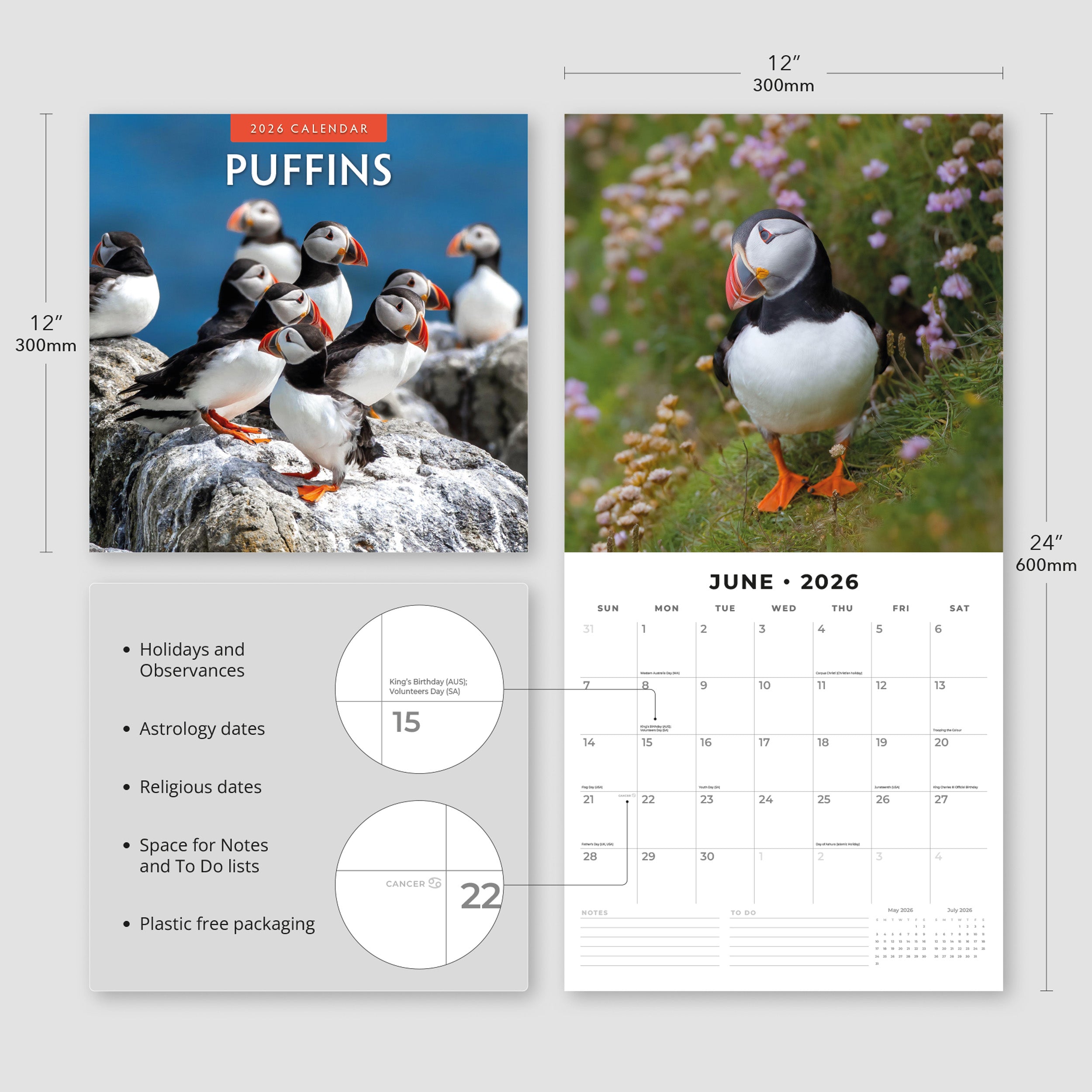 2026 Puffins - Square Wall Calendar