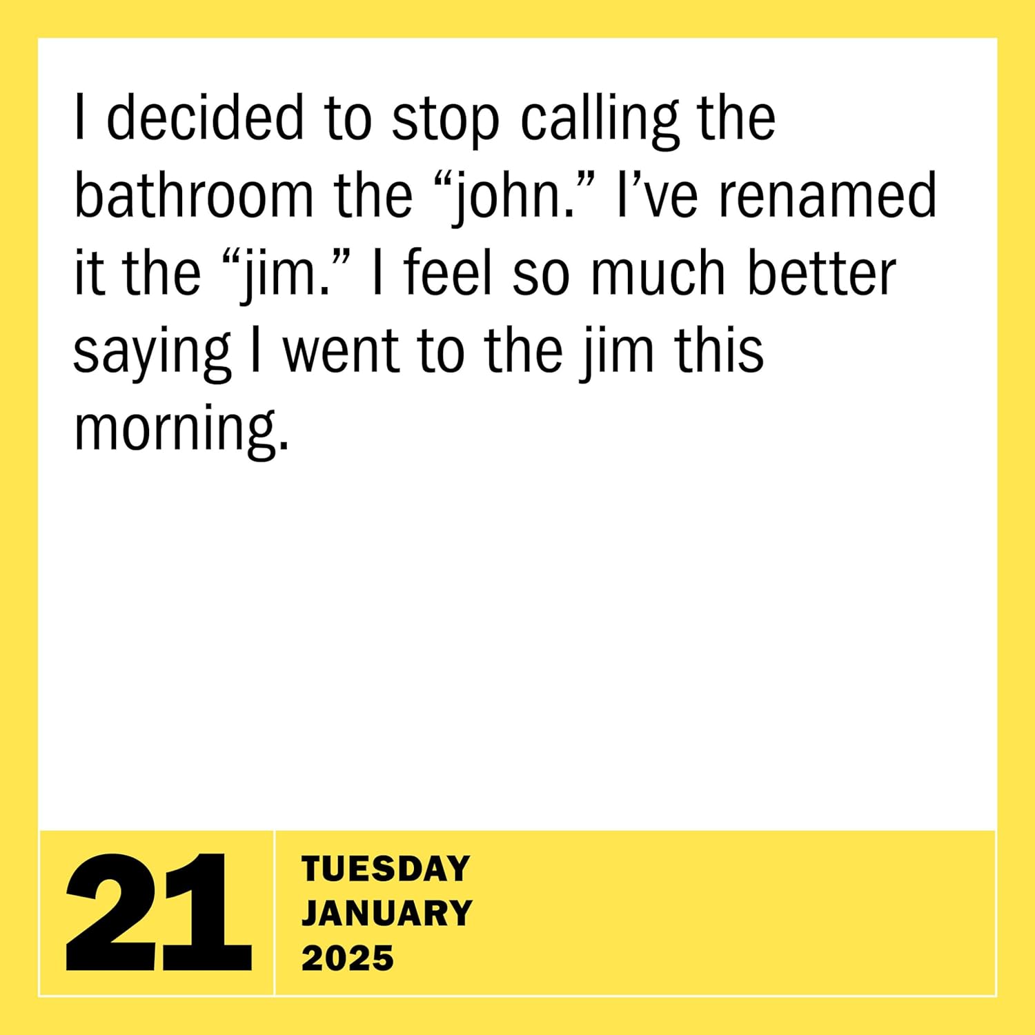 2025 290 Bad Jokes & 75 Punderful Puns - Daily Boxed Page-A-Day Calendar