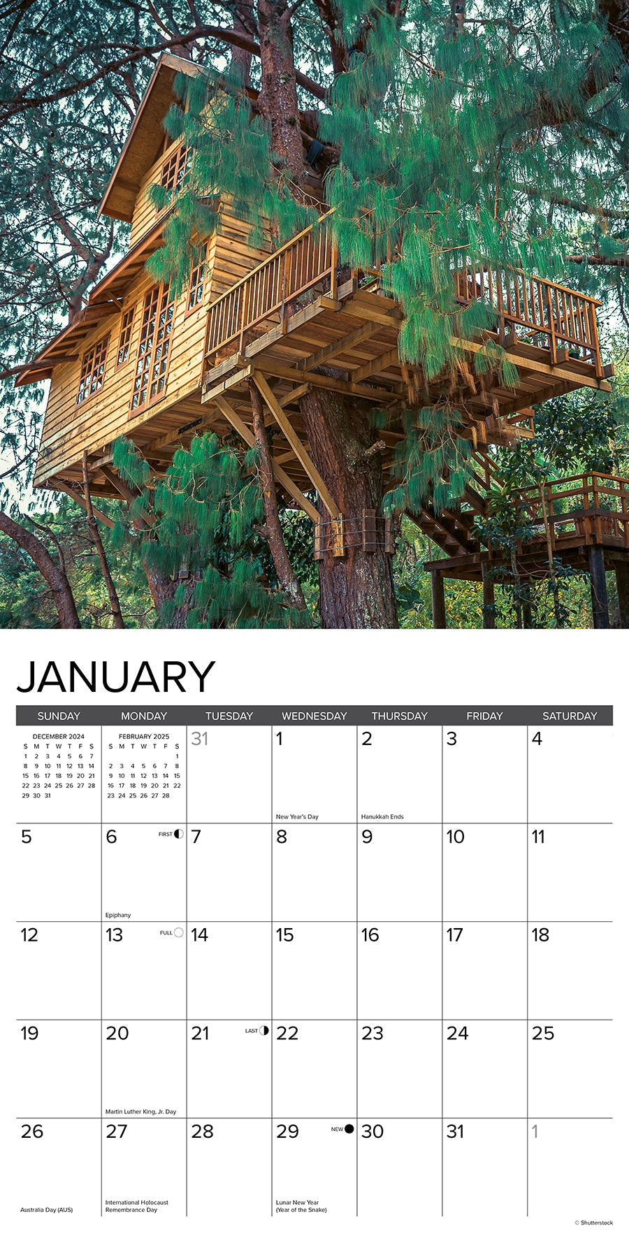 2025 Treehouses - Square Wall Calendar (US Only)