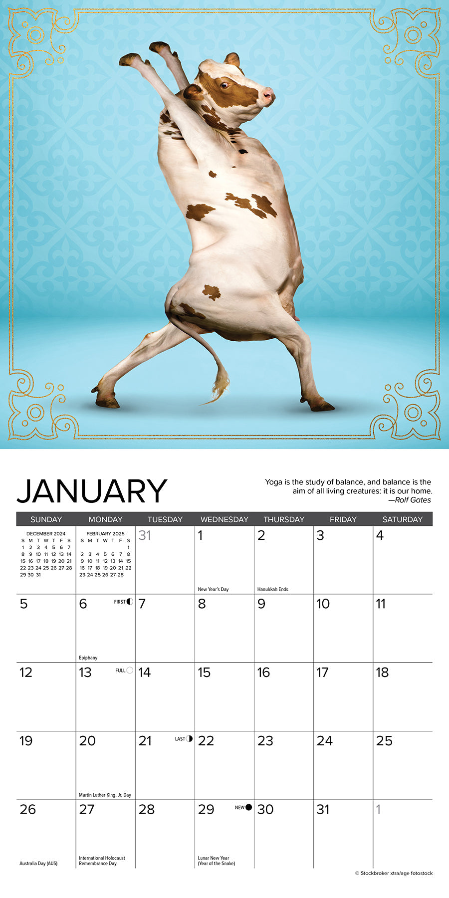 2025 Cow Yoga - Mini Wall Calendar (US Only)