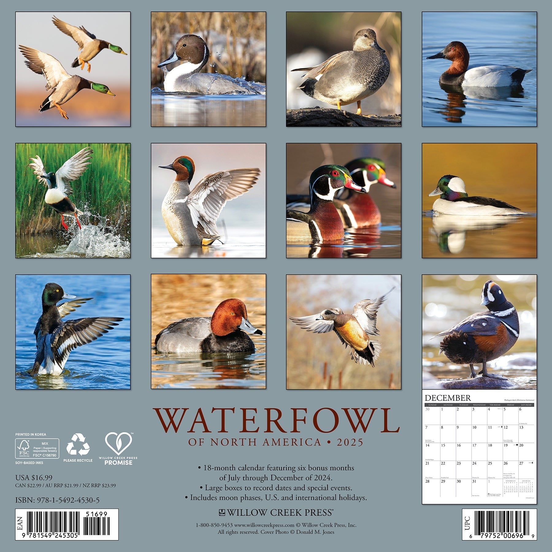 2025 Waterfowl - Square Wall Calendar (US Only)