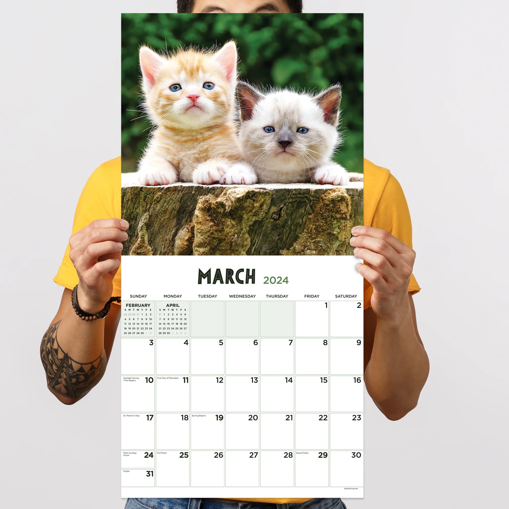 2024 Kittens (by TF Publishing) - Square Wall Calendar US