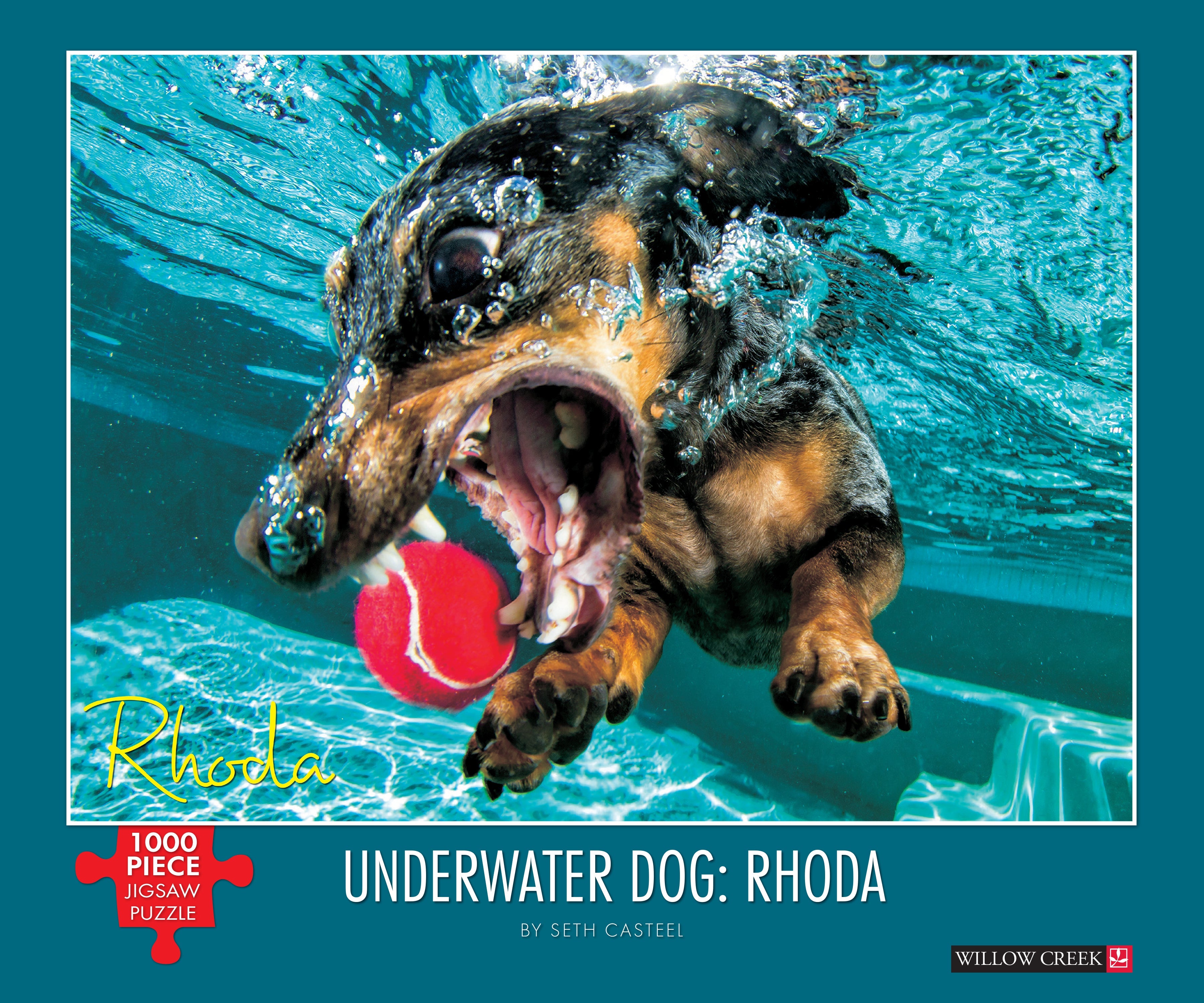 Underwater Dogs: Rhoda 1000 Piece - Jigsaw Puzzle