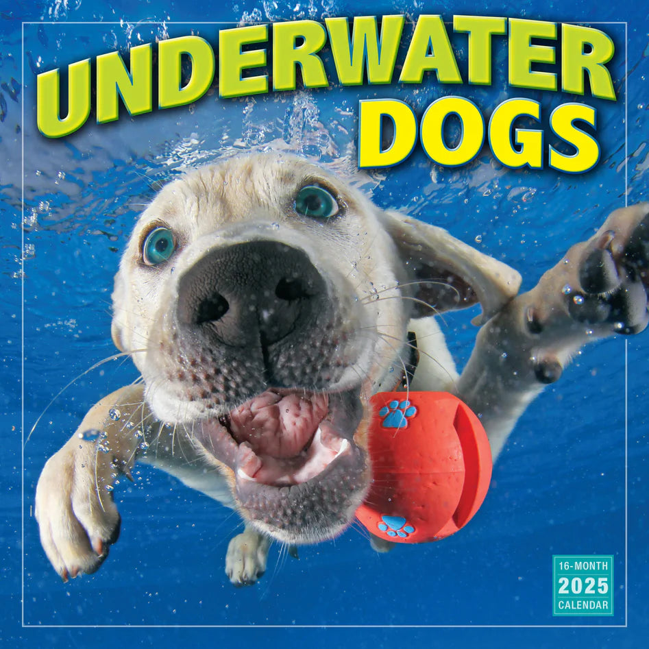 2025 Underwater Dogs - Square Wall Calendar