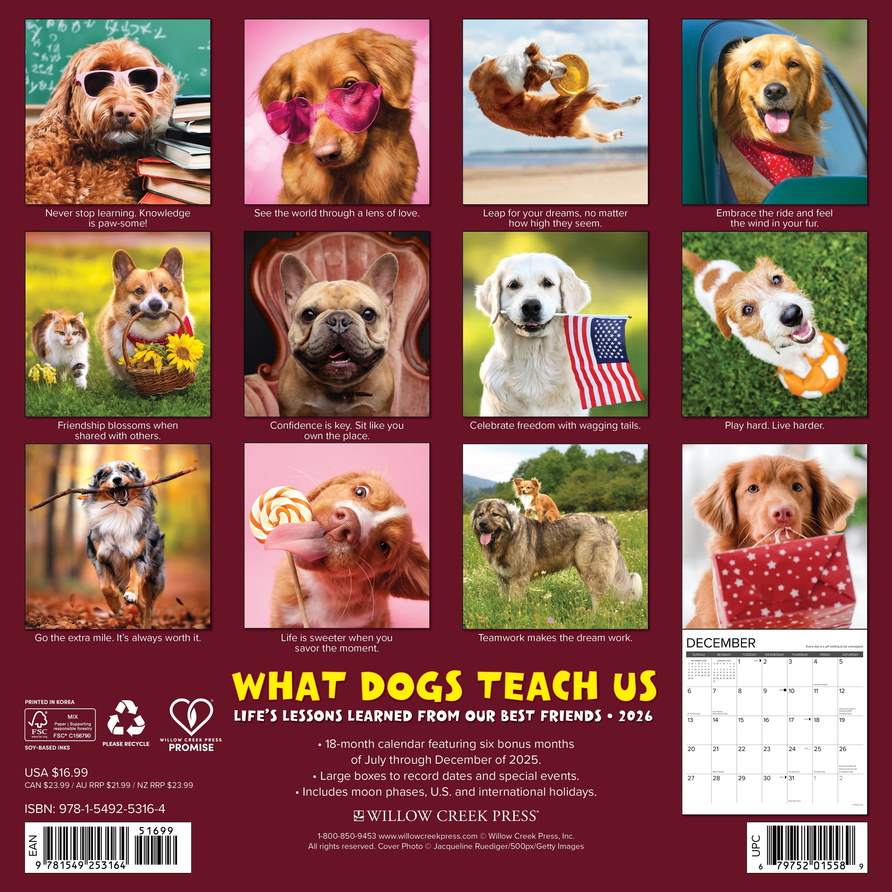 2026 What Dogs Teach Us - Square Wall