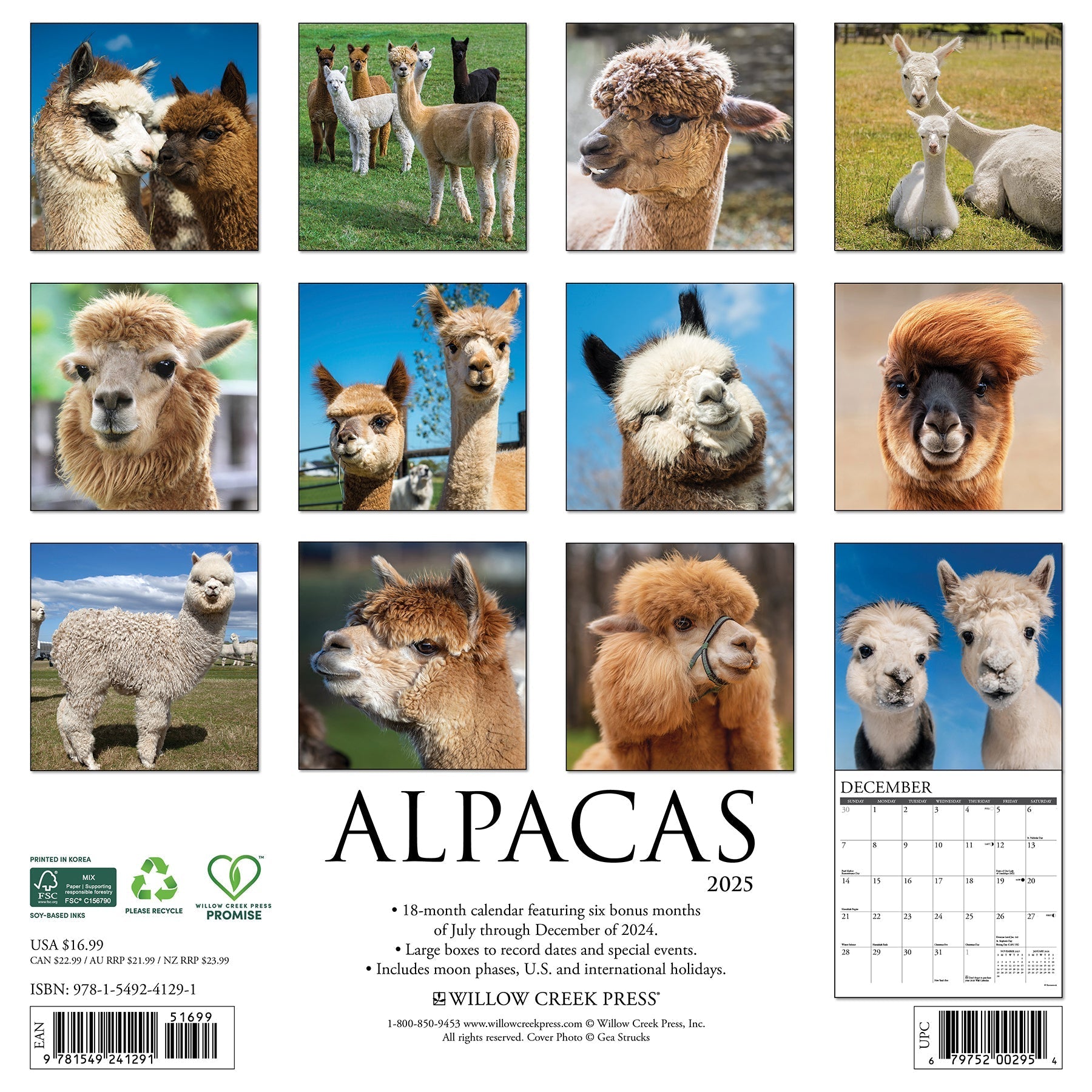 2025 Alpacas - Square Wall Calendar (US Only)