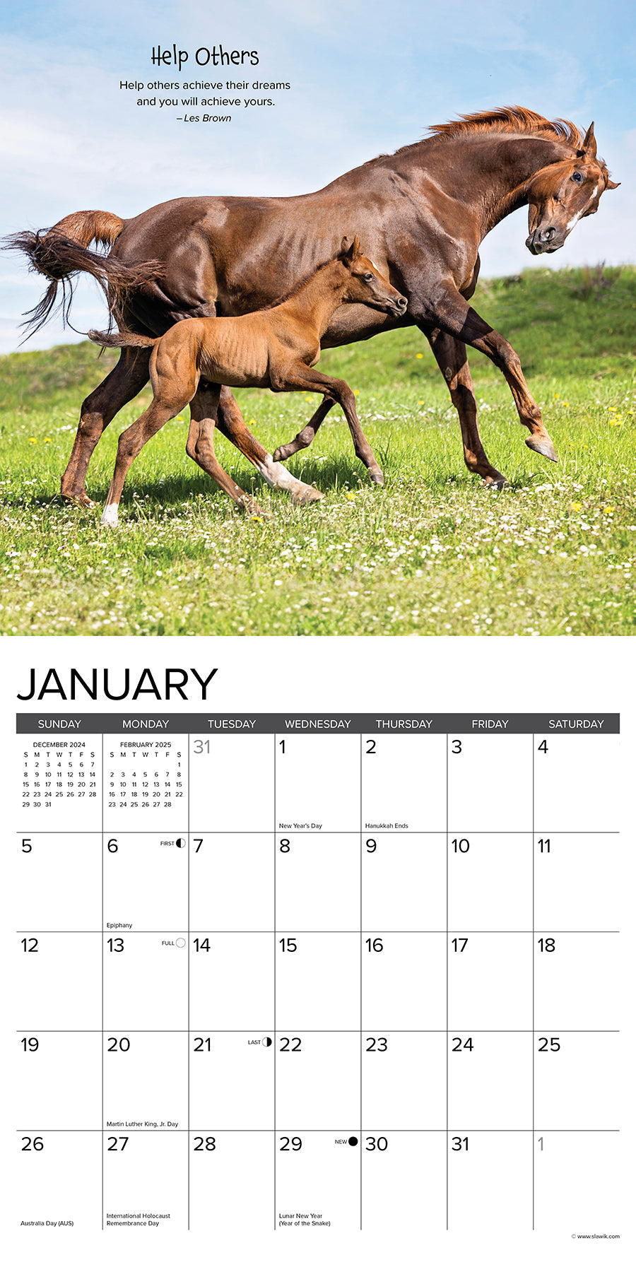 2025 Seize the Hay - Square Wall Calendar (US Only)