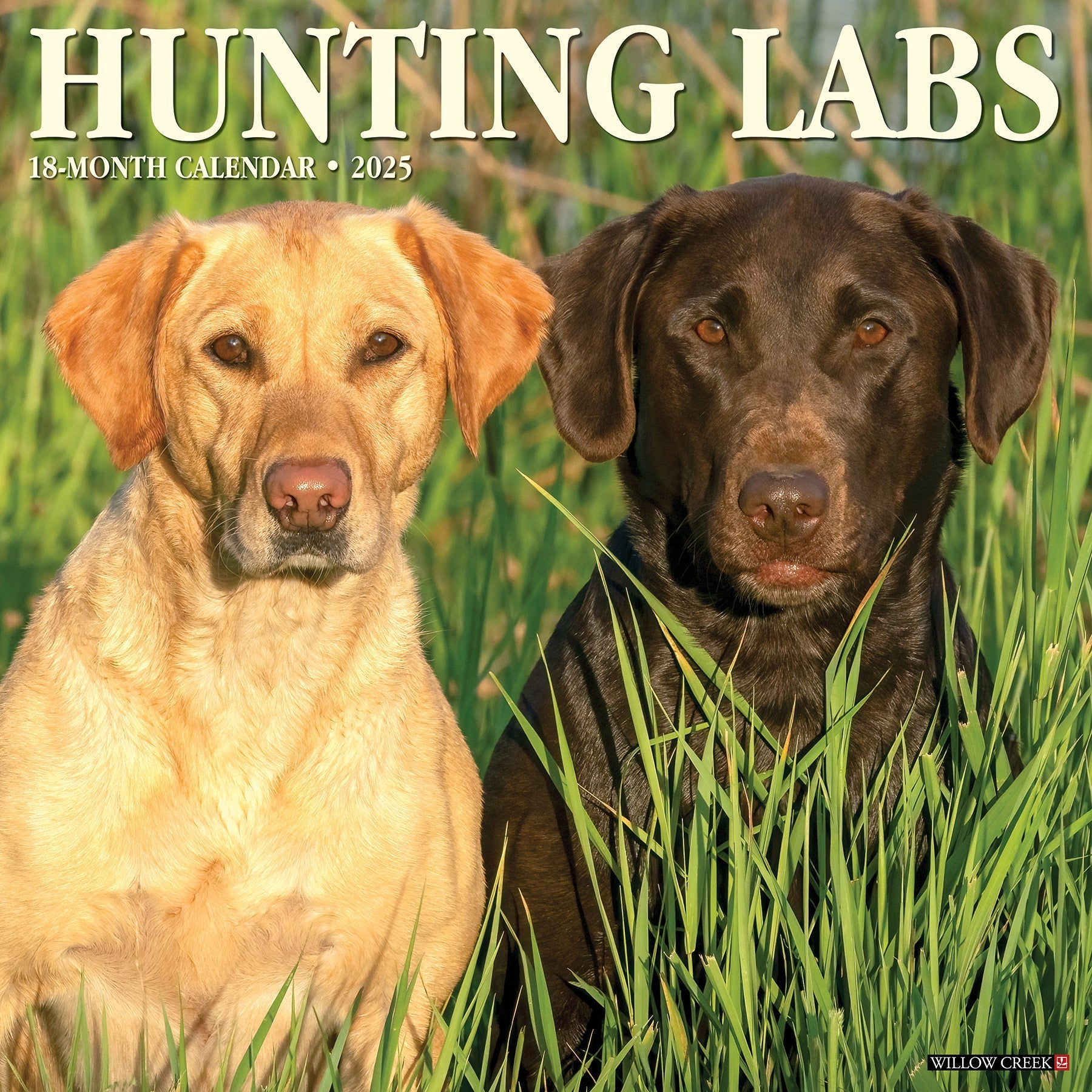 2025 Hunting Labs - Square Wall Calendar (US Only)