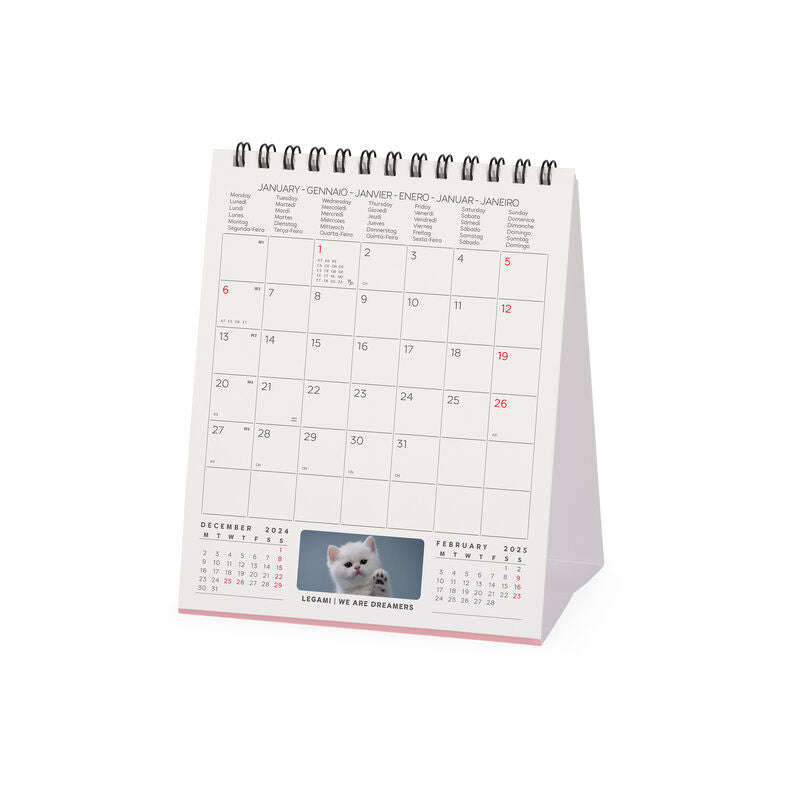 2025 Kittens by Legami - Desk Easel Calendar