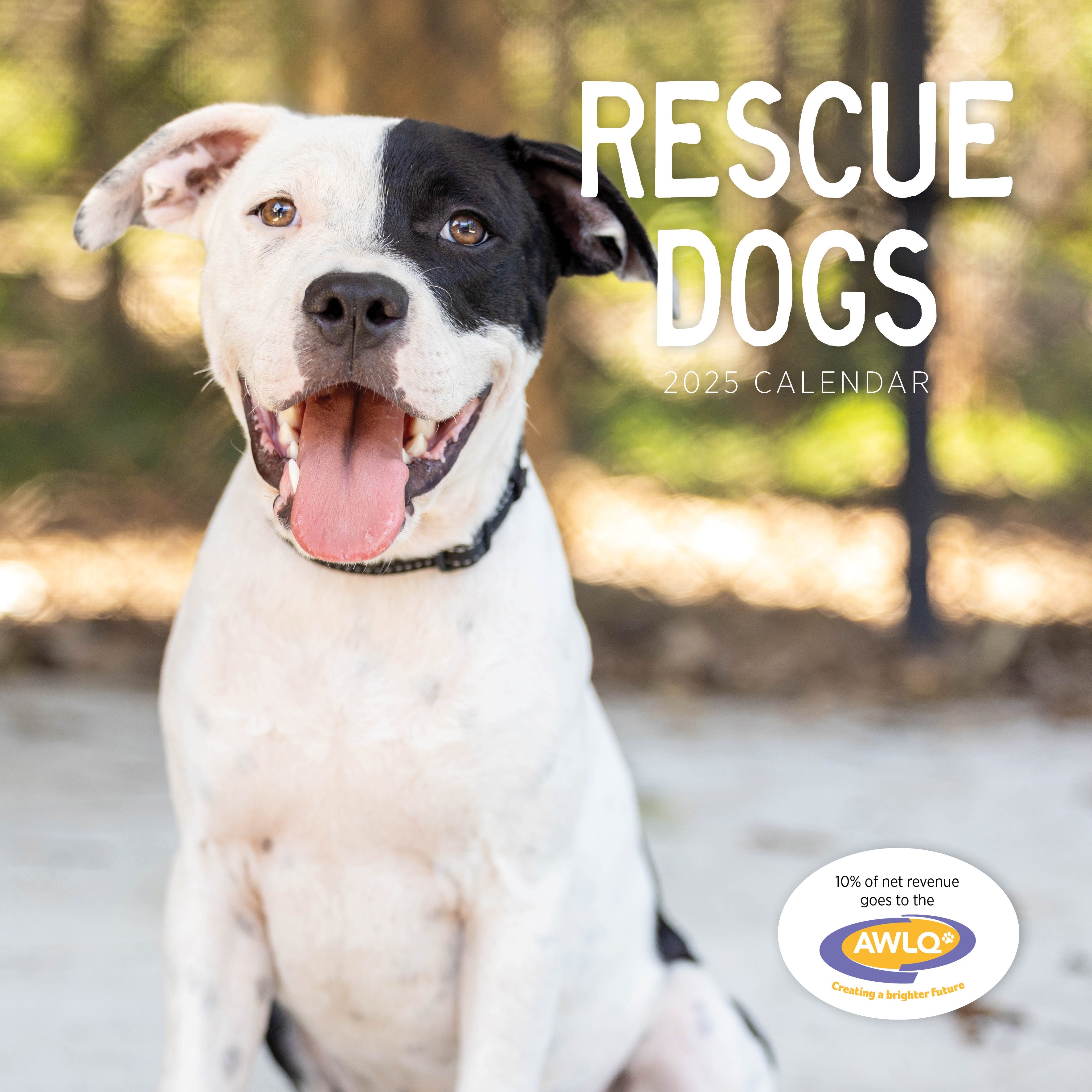 2025 Rescue Dogs - Square Wall Calendar