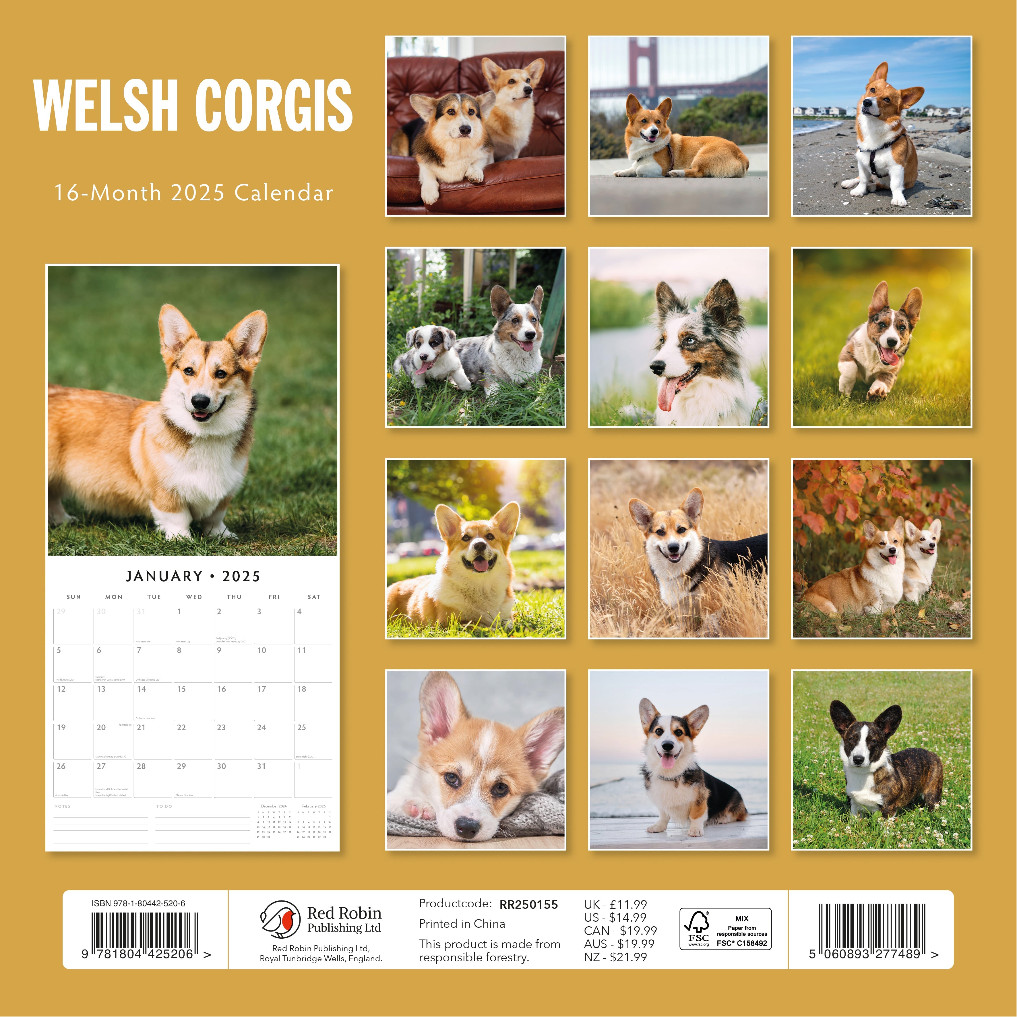 2025 Welsh Corgis - Square Wall Calendar