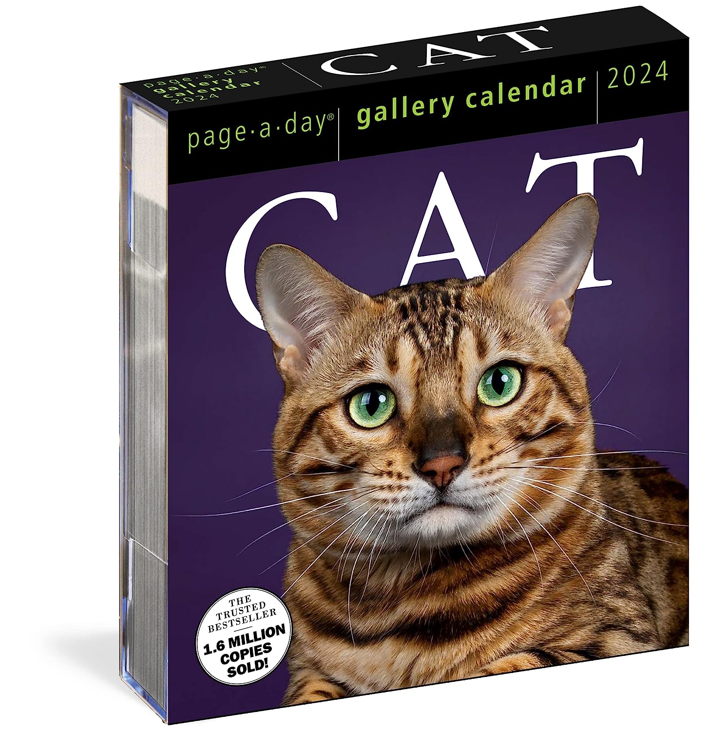 2024 Cat Gallery - Daily Boxed Page-A-Day Calendar