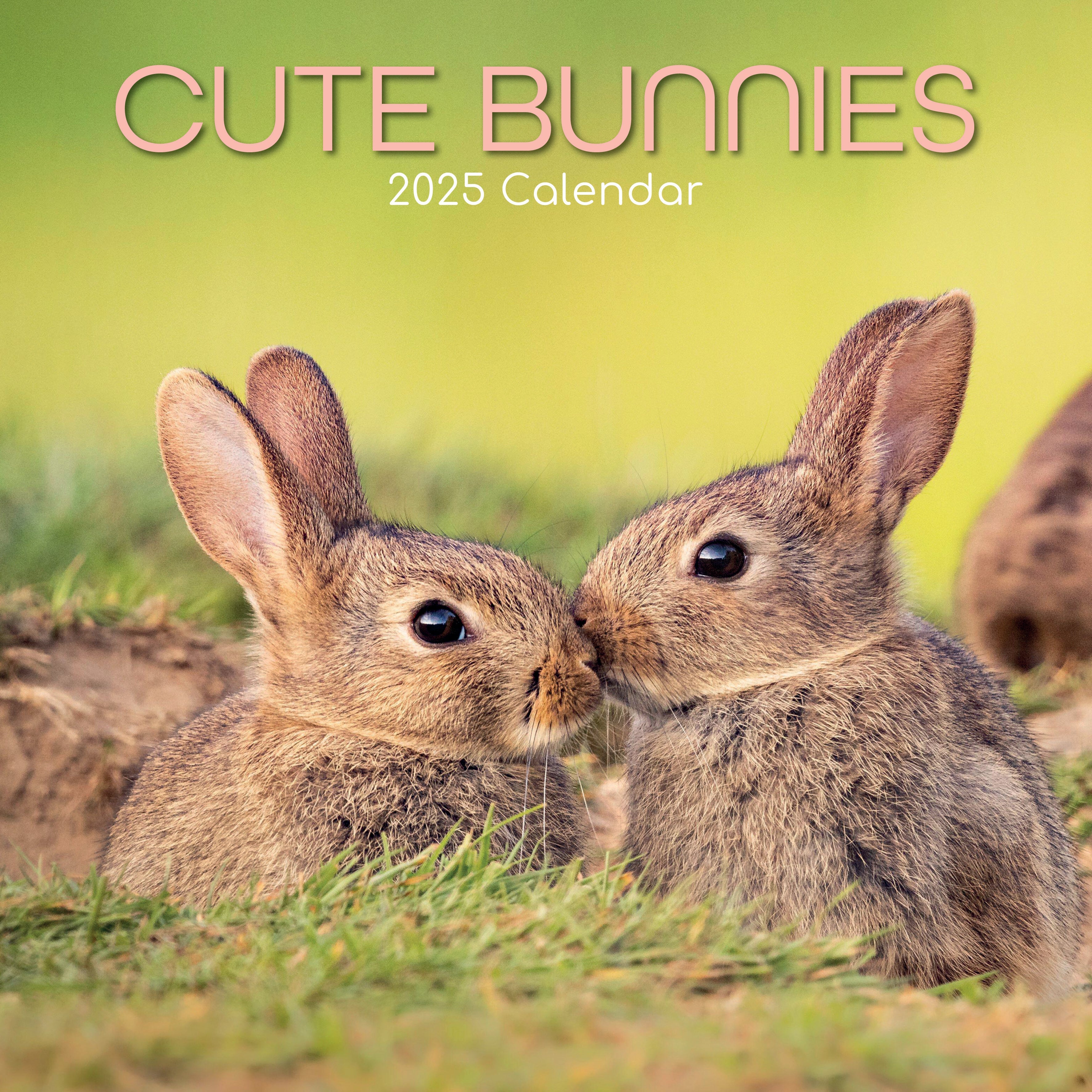 2025 Cute Bunnies - Square Wall Calendar