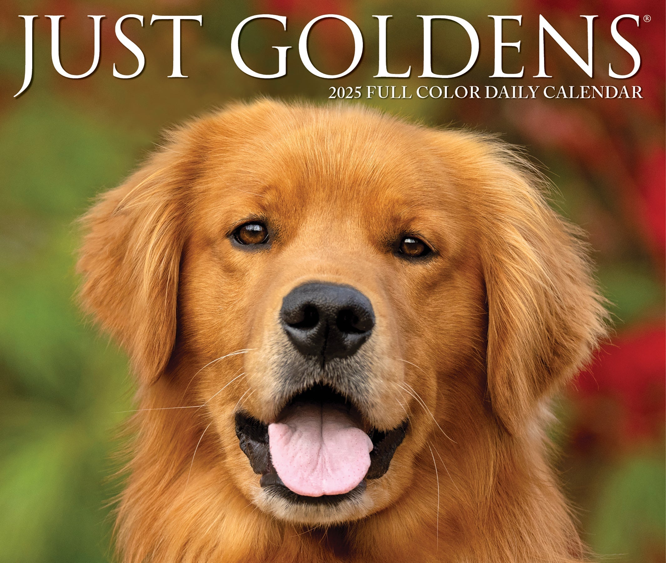 2025 Goldens - Daily Boxed Page-A-Day Calendar (US Only)