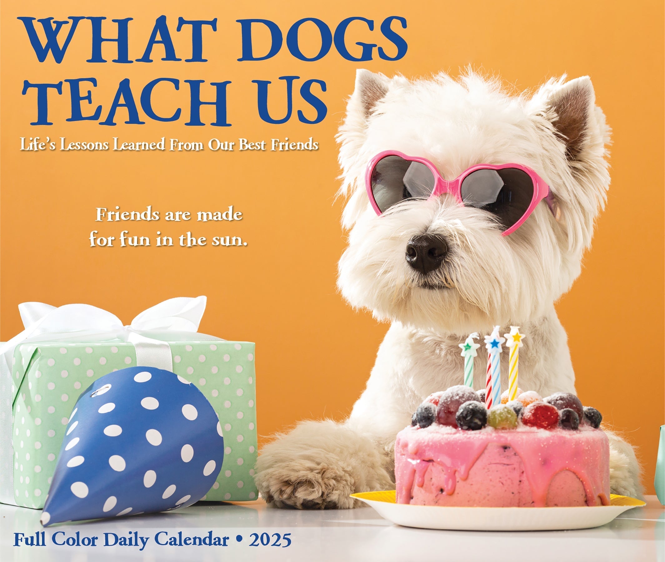 2025 What Dogs Teach Us - Daily Boxed Page-A-Day Calendar (US Only)