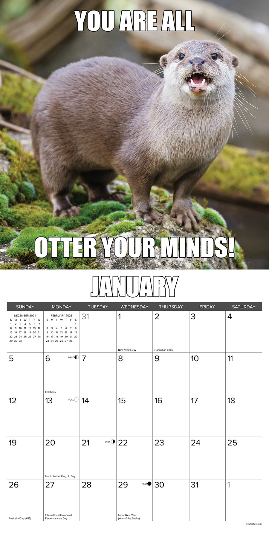 2025 In Otter News - Square Wall Calendar (US Only)