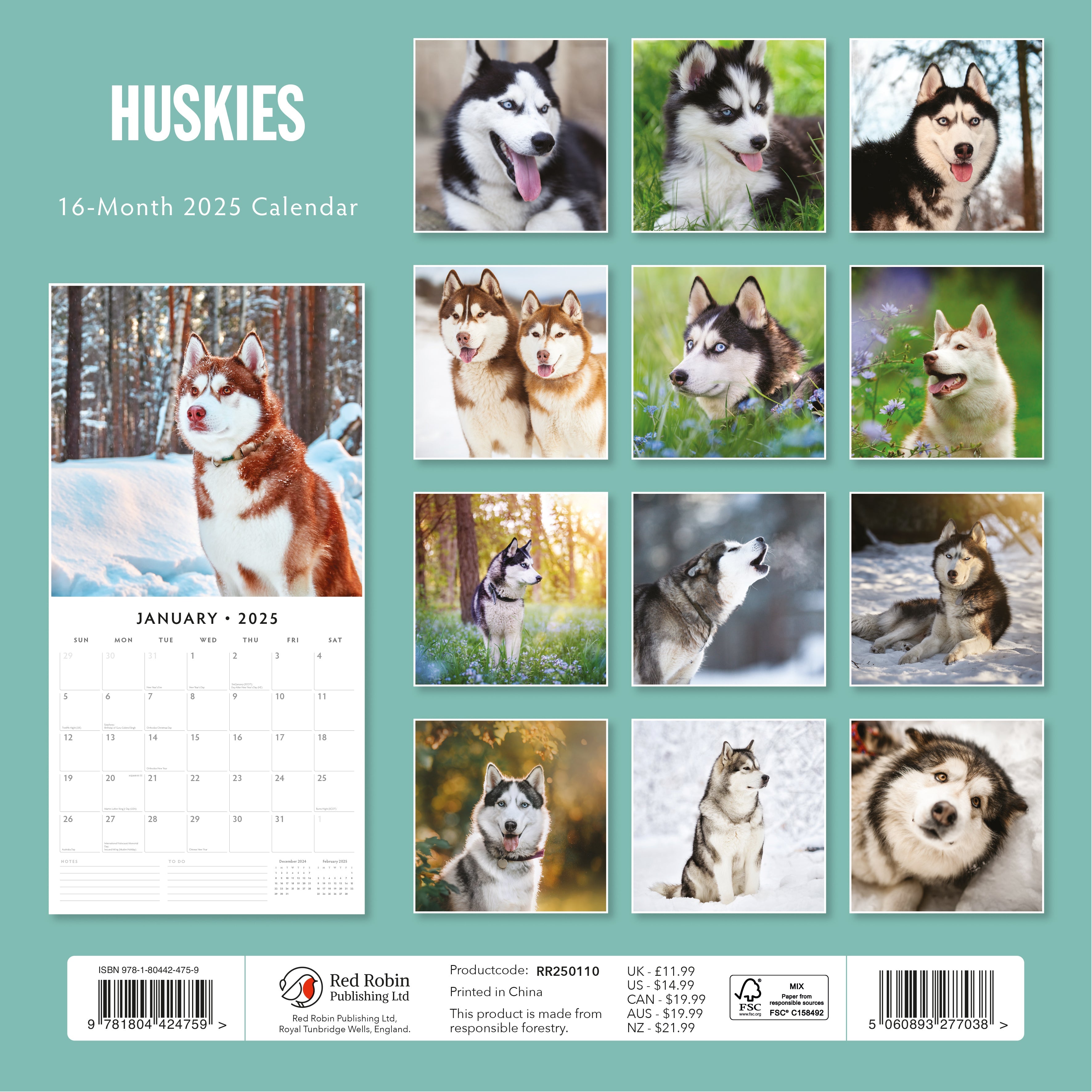 2025 Huskies - Square Wall Calendar