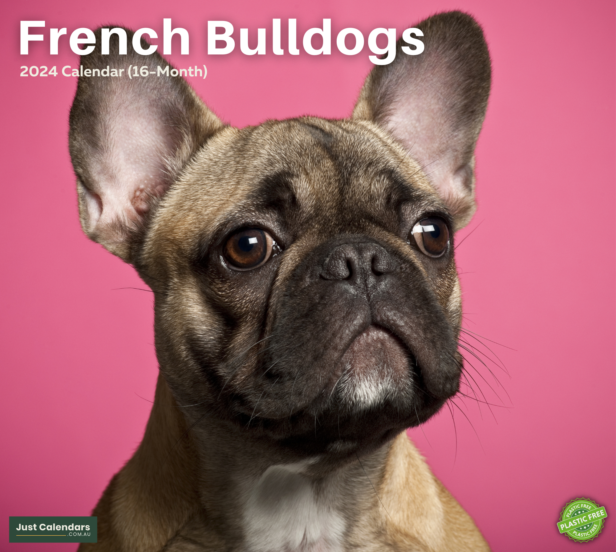 2024 French Bulldogs Dogs & Puppies - Deluxe Wall Calendar by Just Calendars - 16 Month - Plastic Free